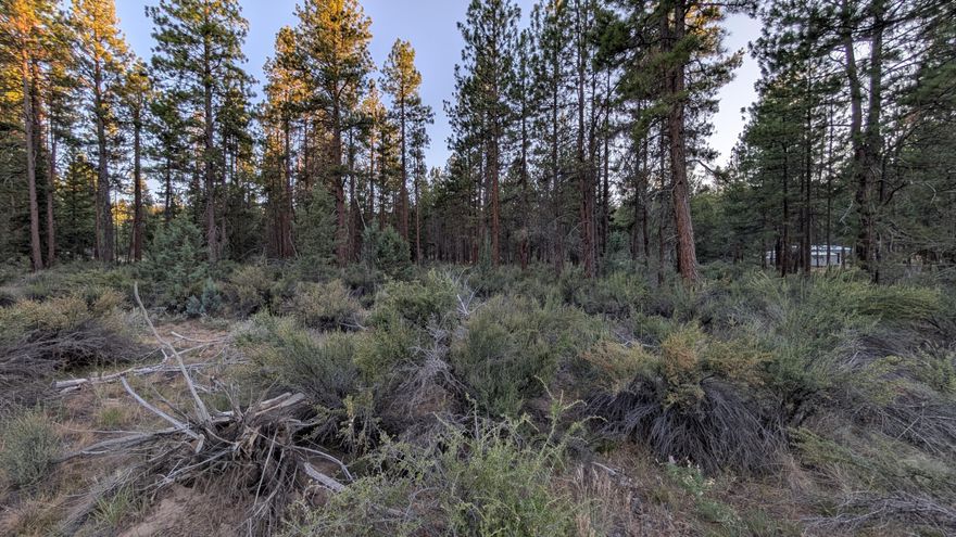 Beautifully wooded flat land, perfect for your dream build with privacy in the pines. Quiet neighborhood and a large lot. Power is nearby at the street. Buyer to perform own due diligence regarding property lines, zoning/building regulations, septic, utilities, etc. Owner is an Oregon licensed Realtor.