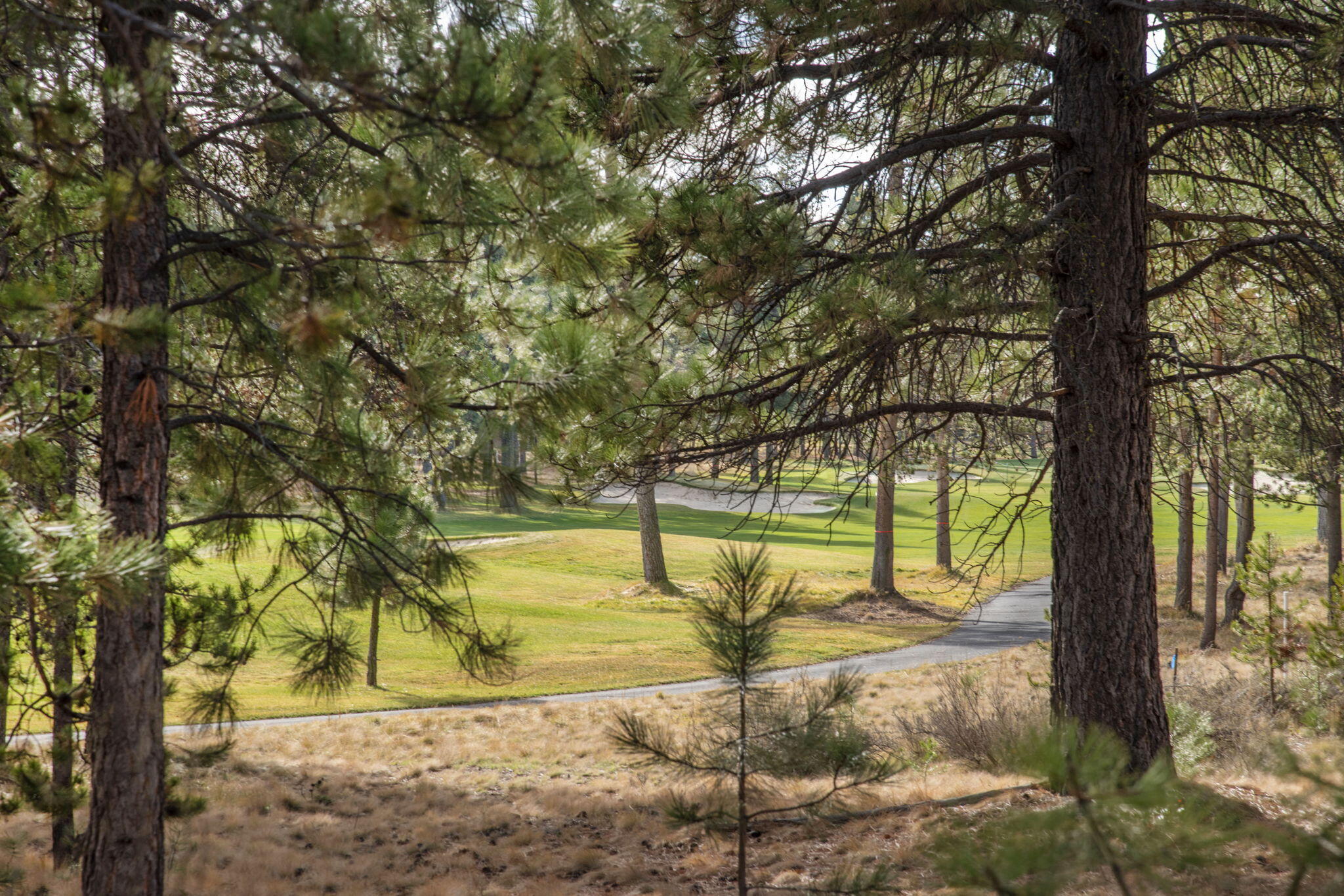 Fairway Point Villag - Residential