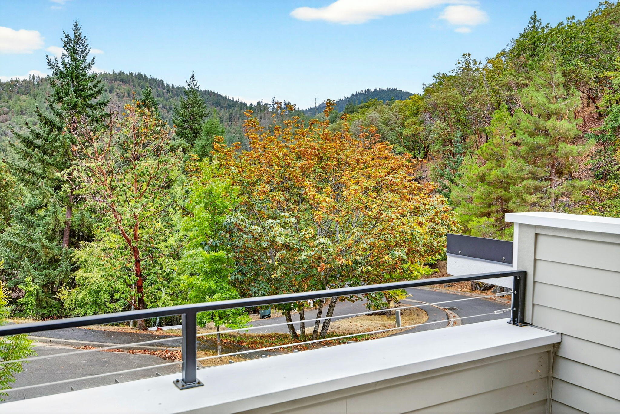 Lithia Creek Estates, AReplat Of Lithia Park Village - Residential