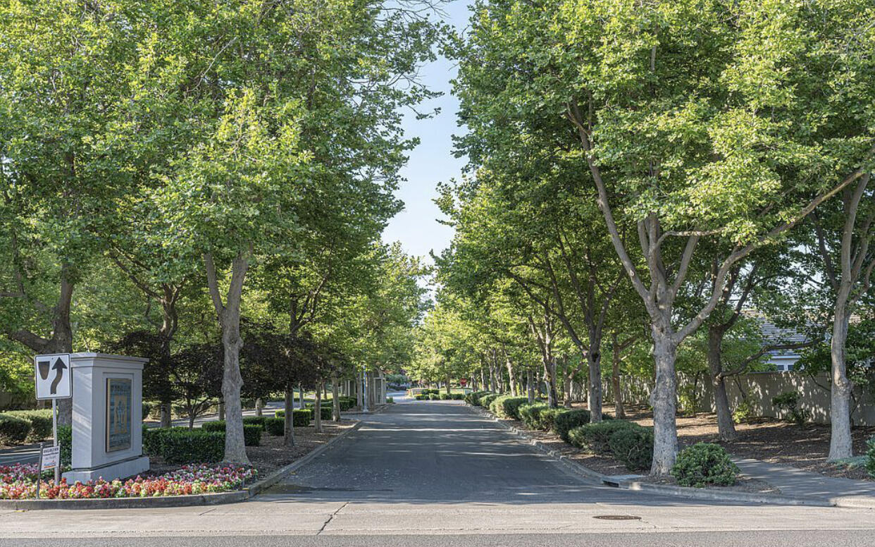 Alder Creek Phase No 1APlanned Community - Residential