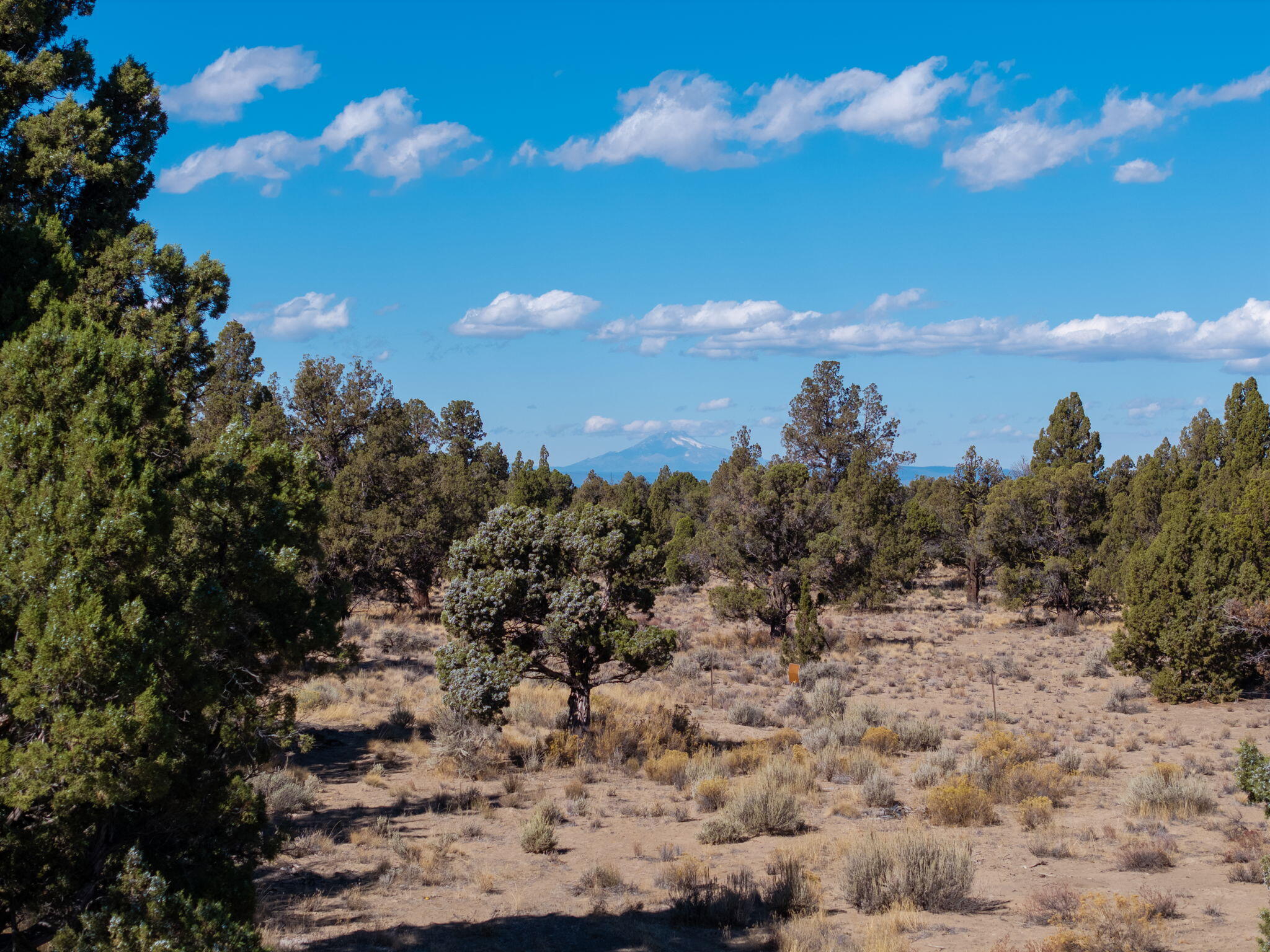 66100 Pronghorn Estates Drive Lot 141