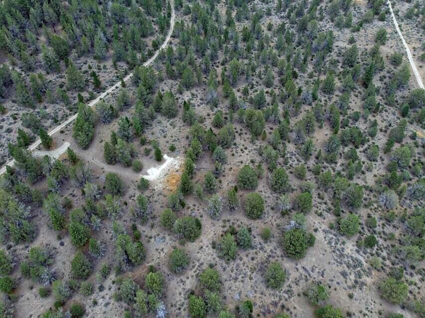 Nimrod River Park - Land