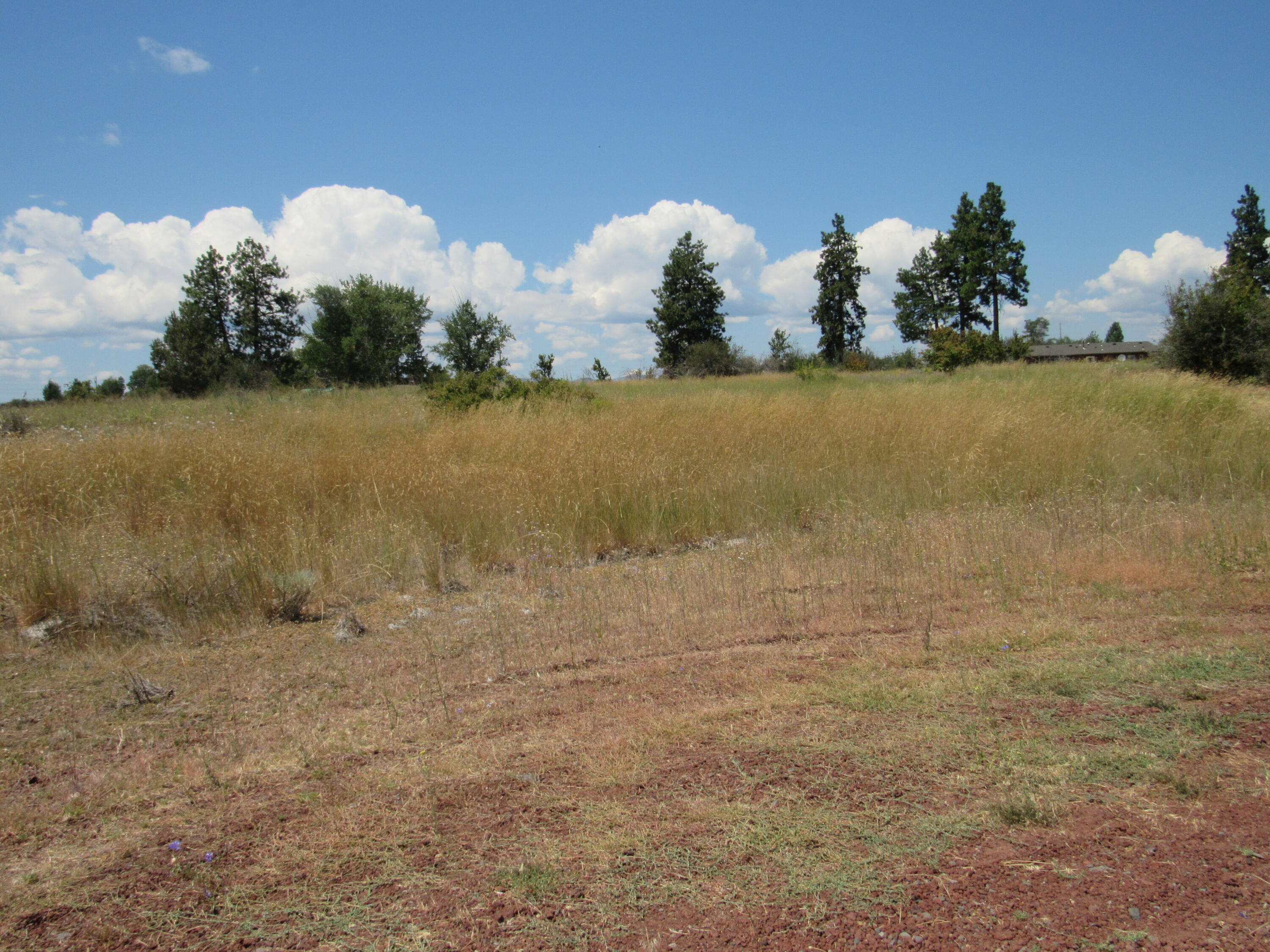 Oregon Shores -Unit 2 - Land