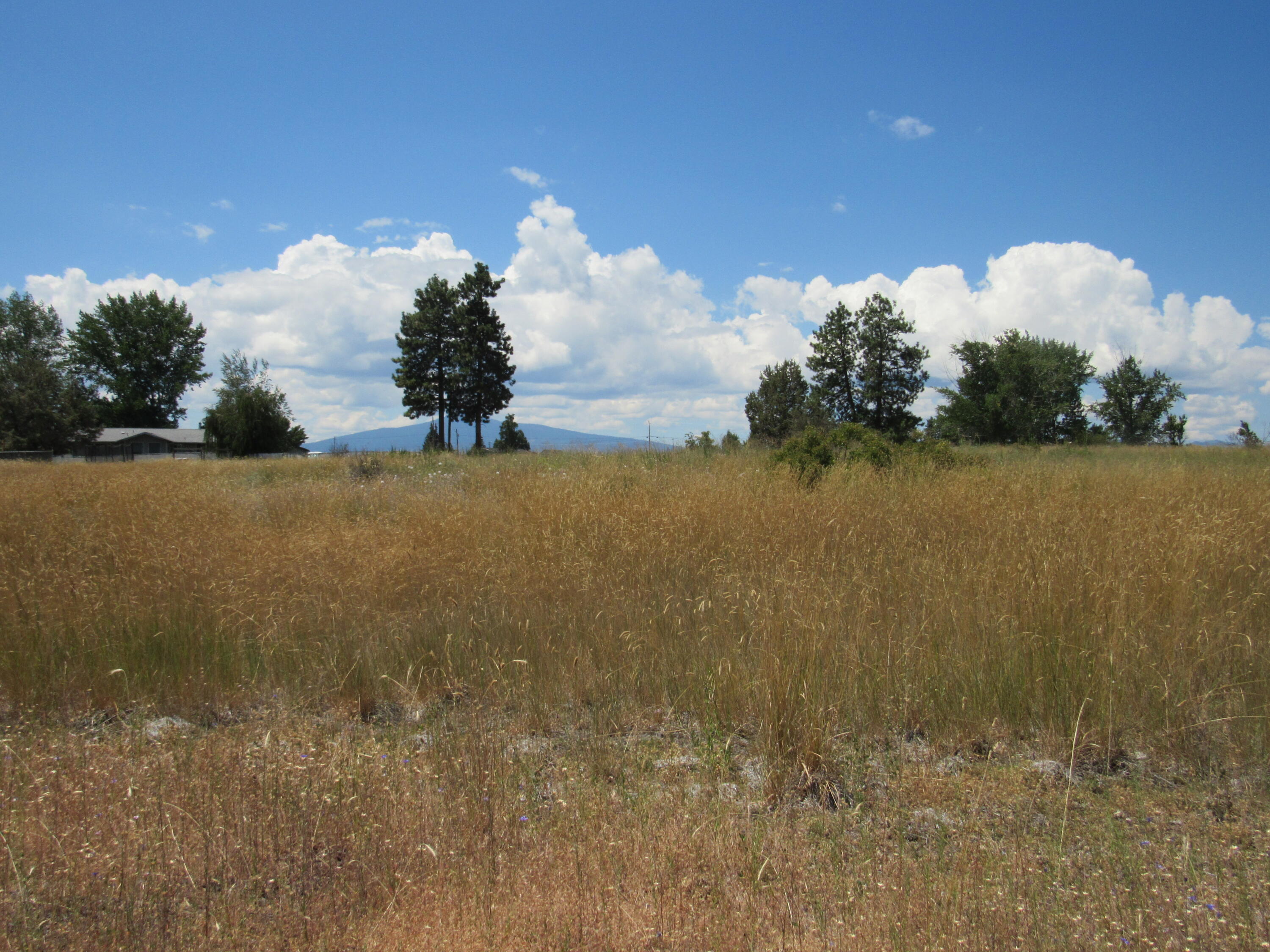 Oregon Shores -Unit 2 - Land