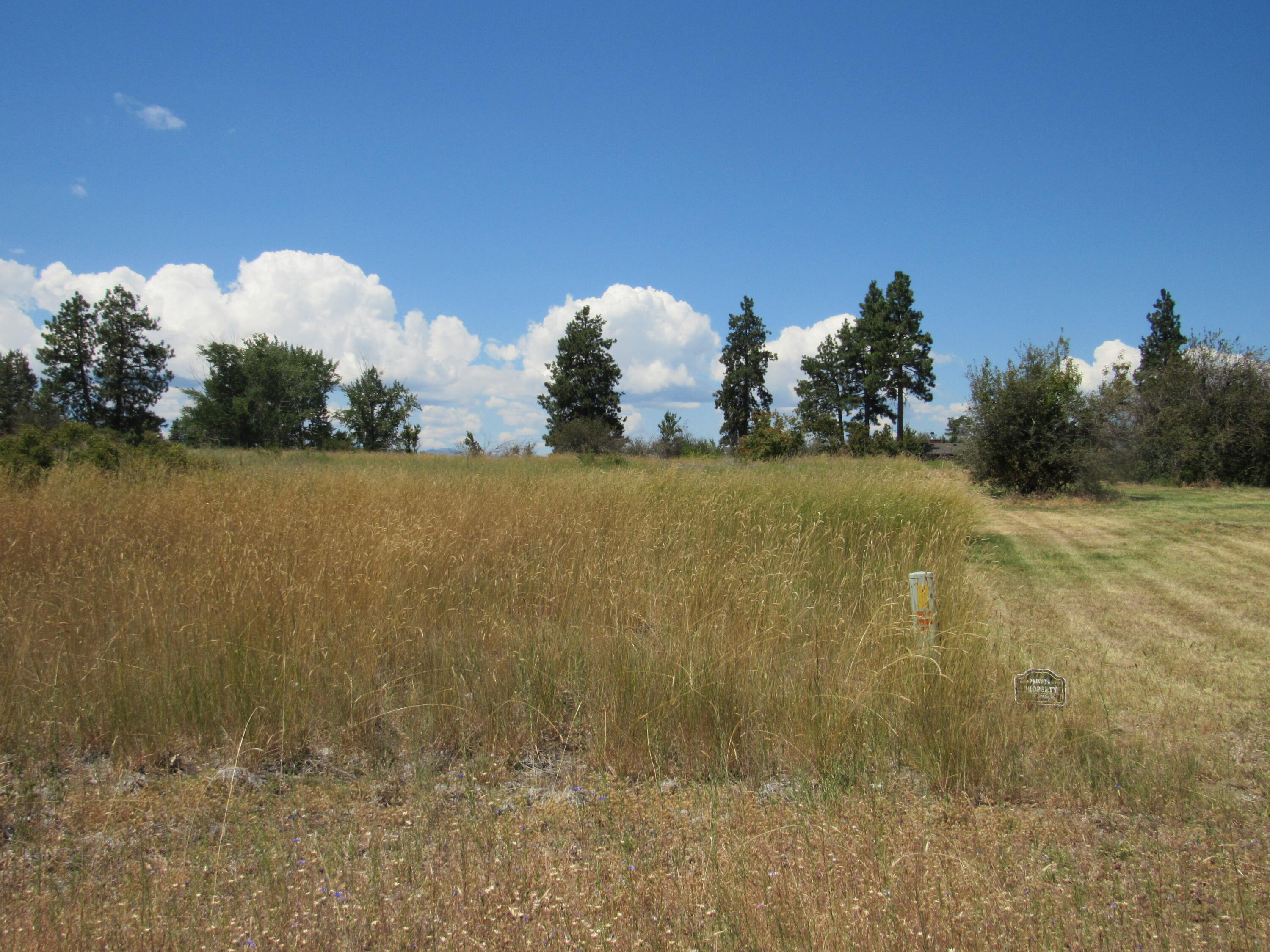 Oregon Shores -Unit 2 - Land