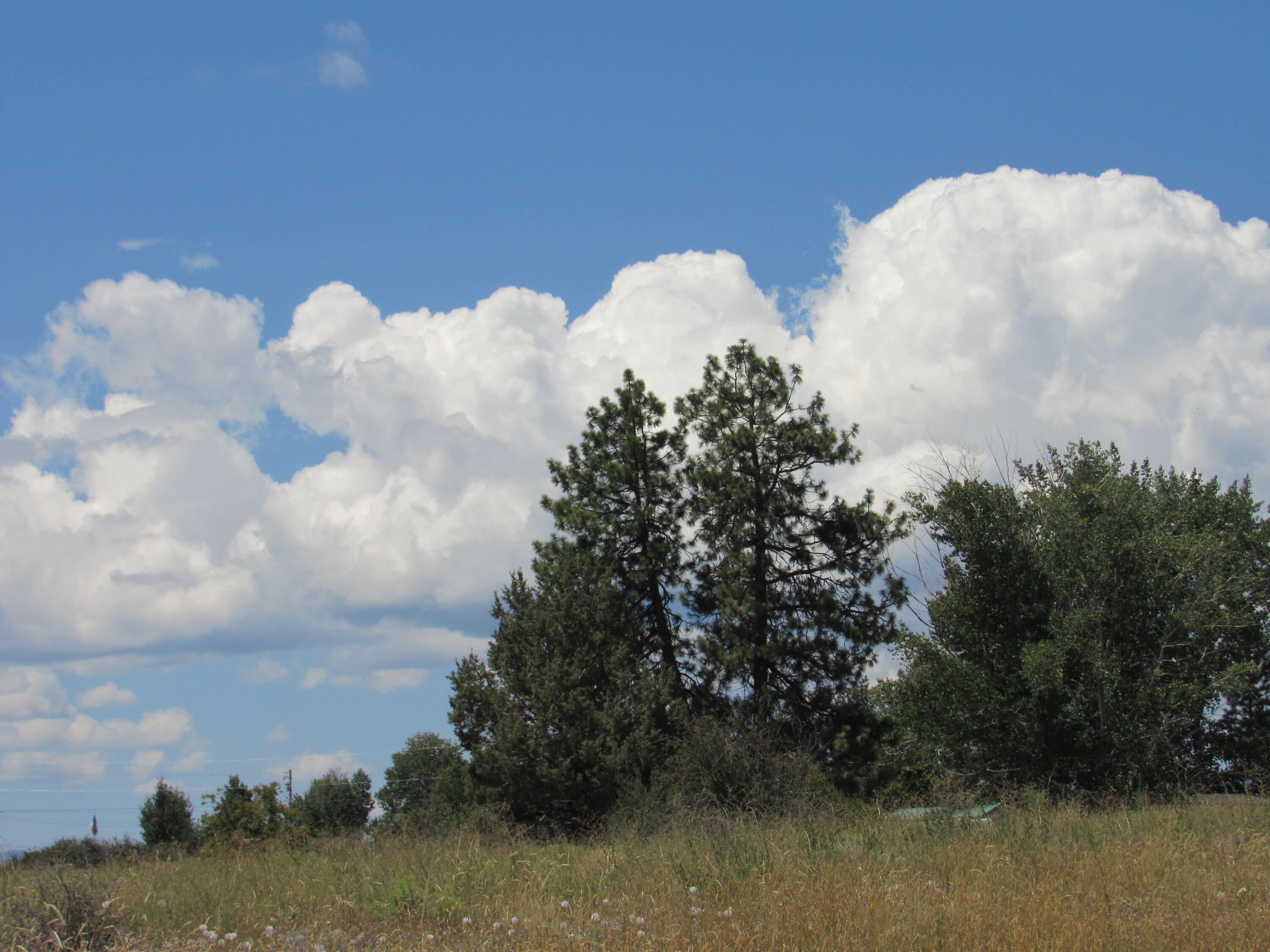 Oregon Shores -Unit 2 - Land