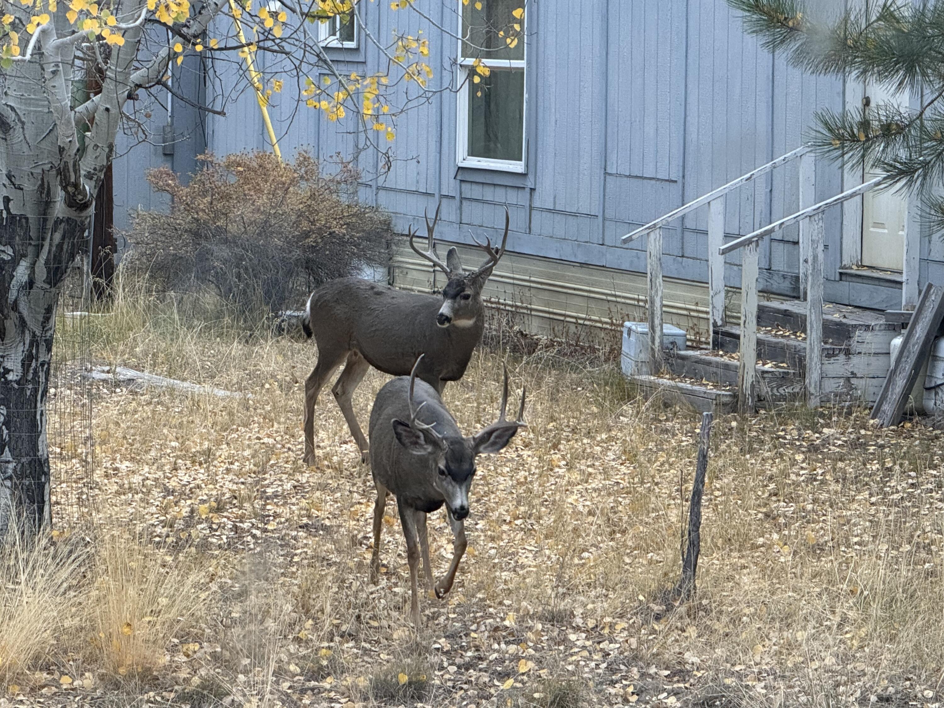 Cl+D Ranch Tracts - Residential