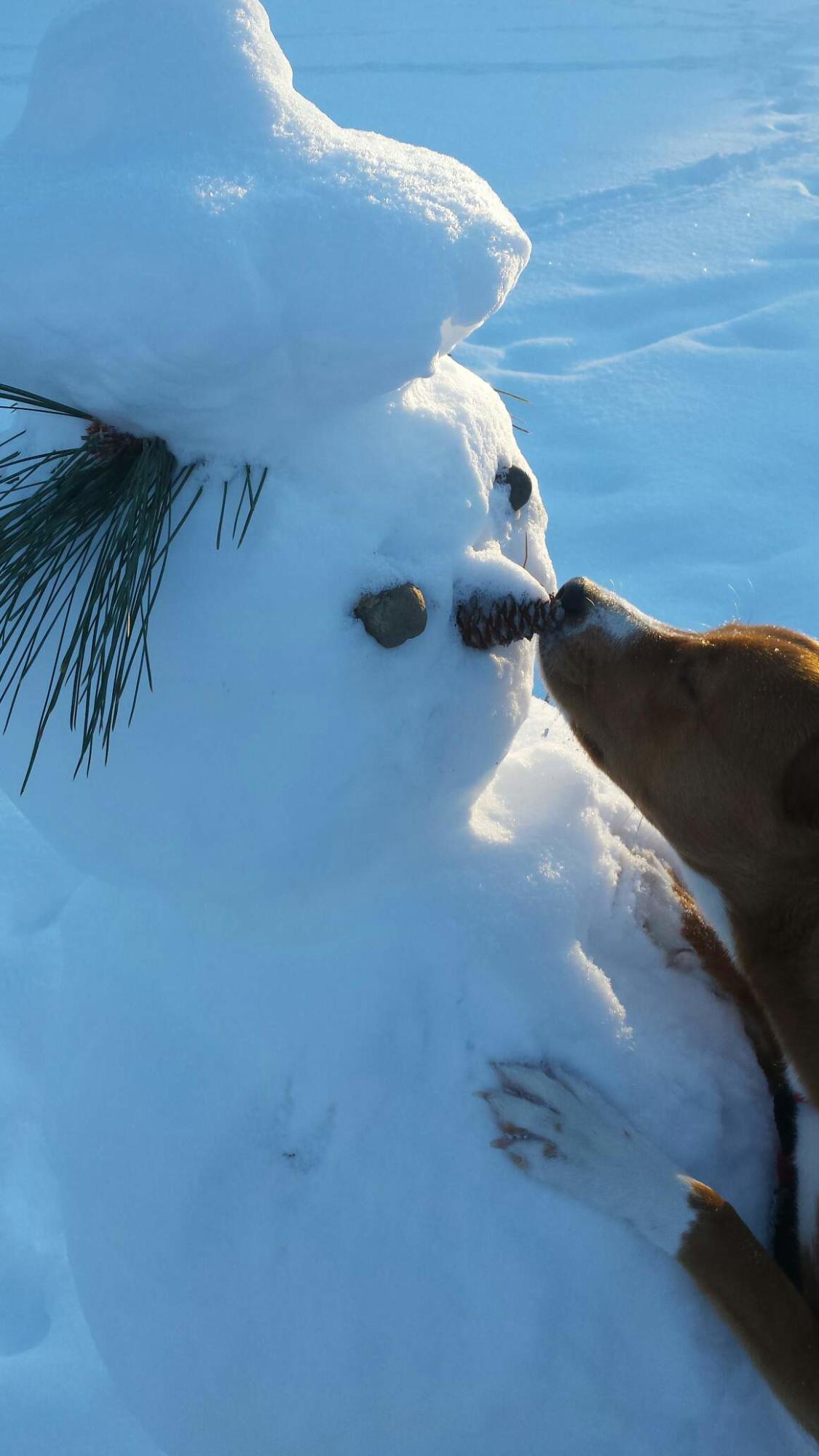 Inn Of The 7th - Residential