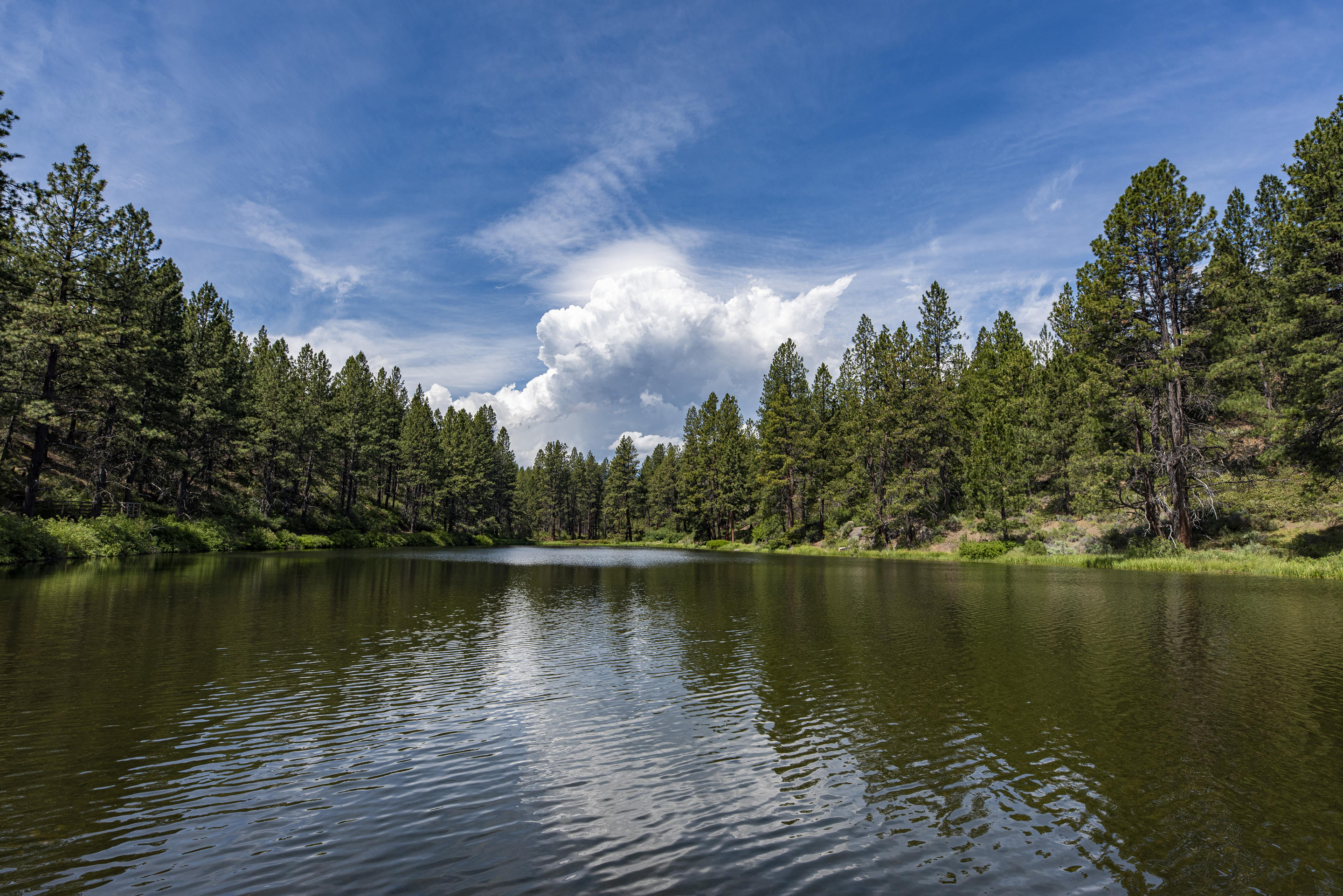 Inn Of The 7th - Residential