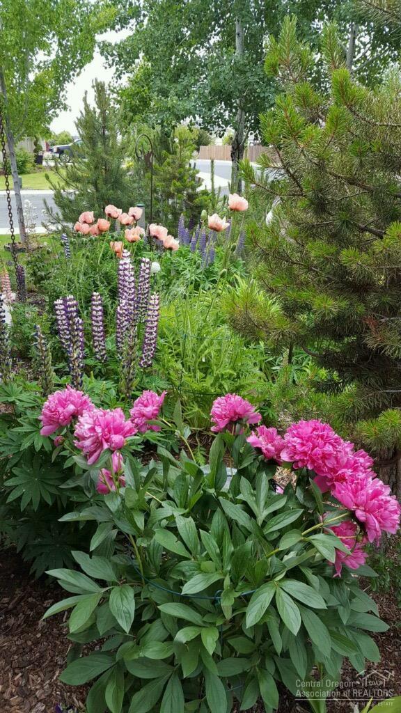 Diamond Bar Ranch - Residential