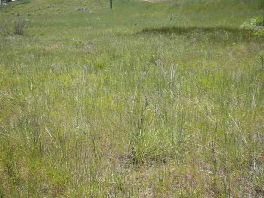 24 Lots Undeveloped, Owner Would Like To Sell Them All.