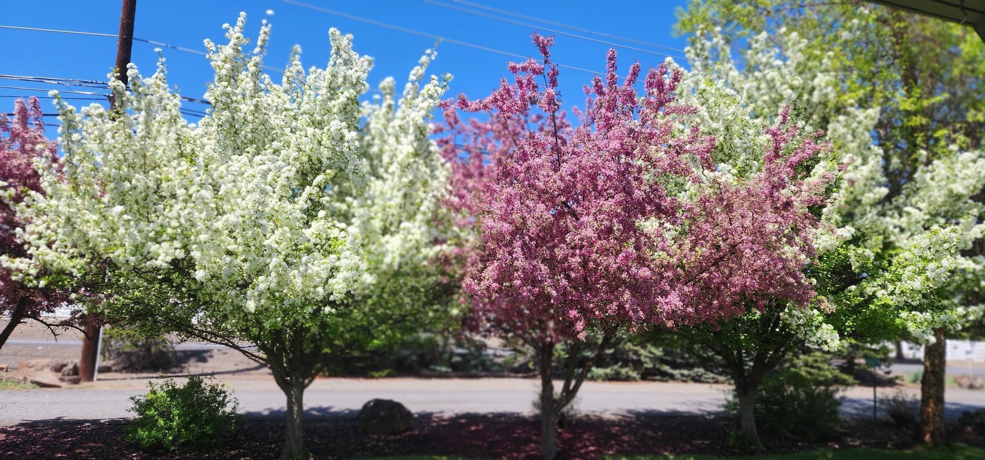 Sunshine - Residential