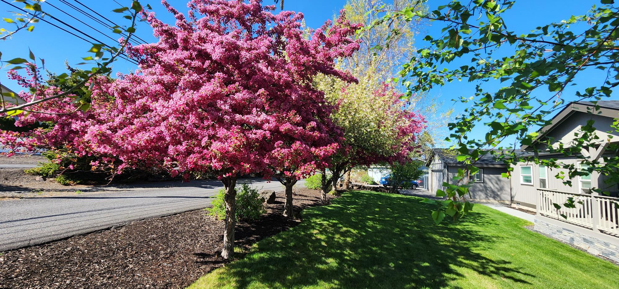 Sunshine - Residential