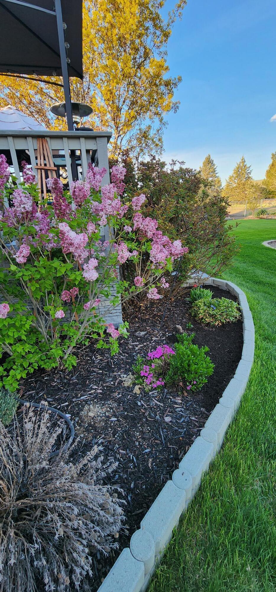 Sunshine - Residential