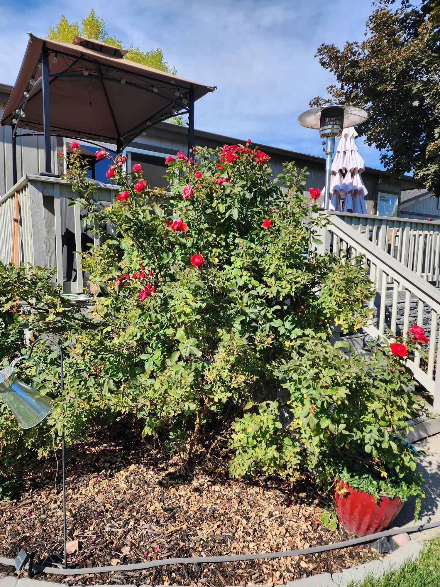 Sunshine - Residential