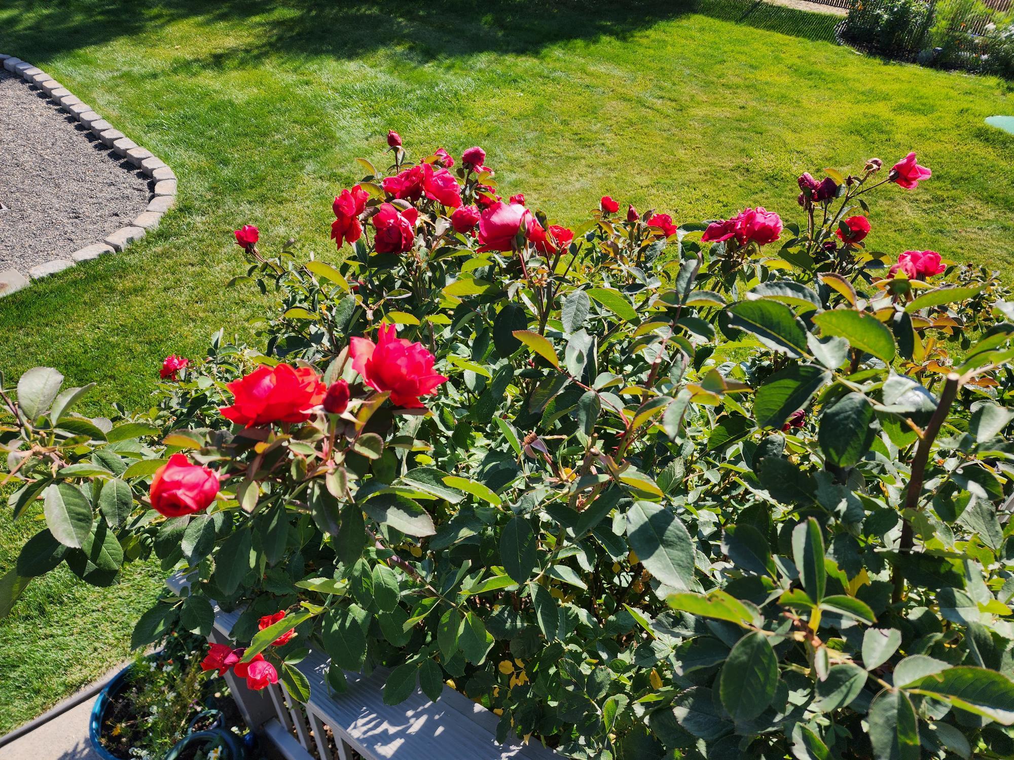 Sunshine - Residential