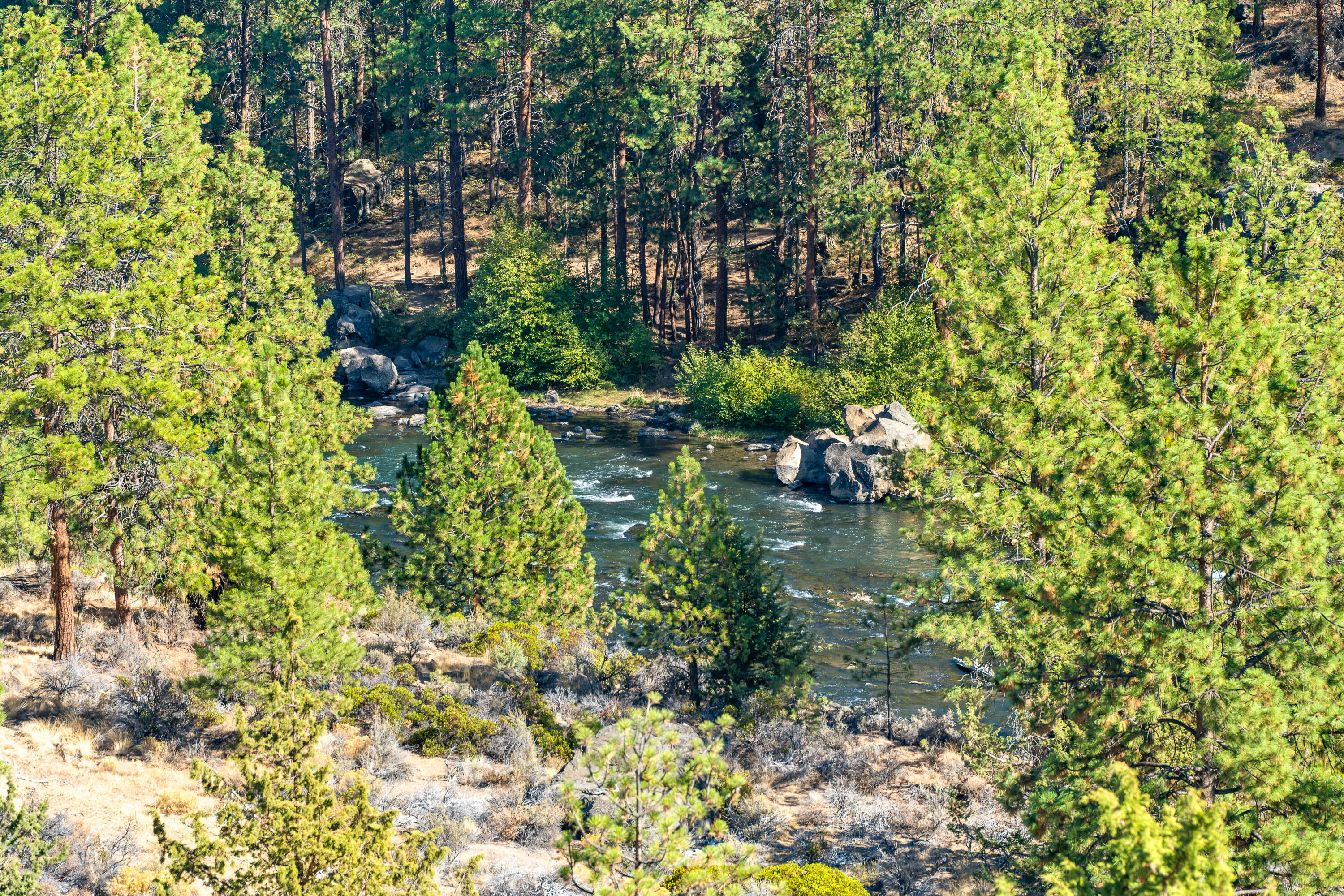 Mt Bachelor Village - Residential