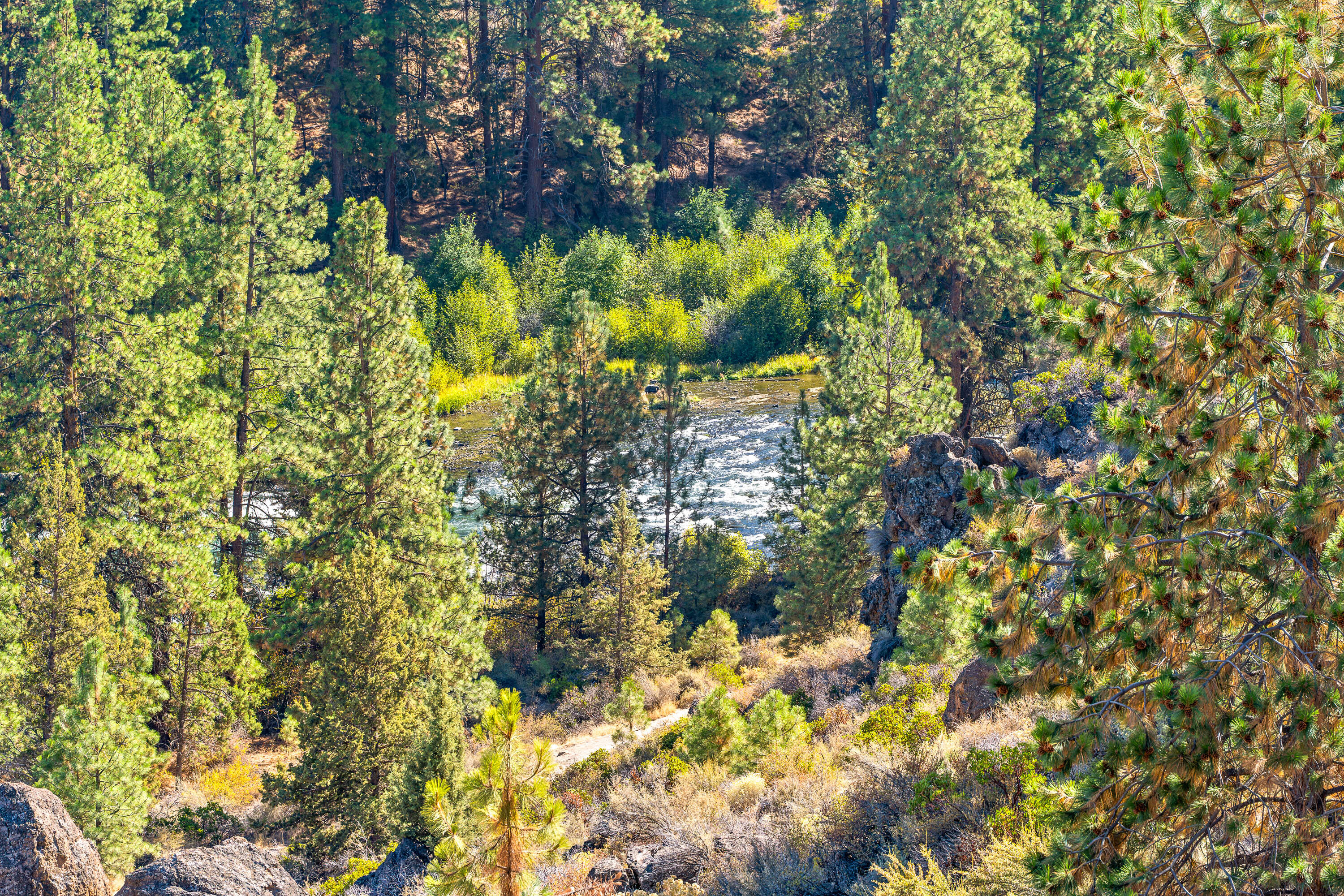 Mt Bachelor Village - Residential