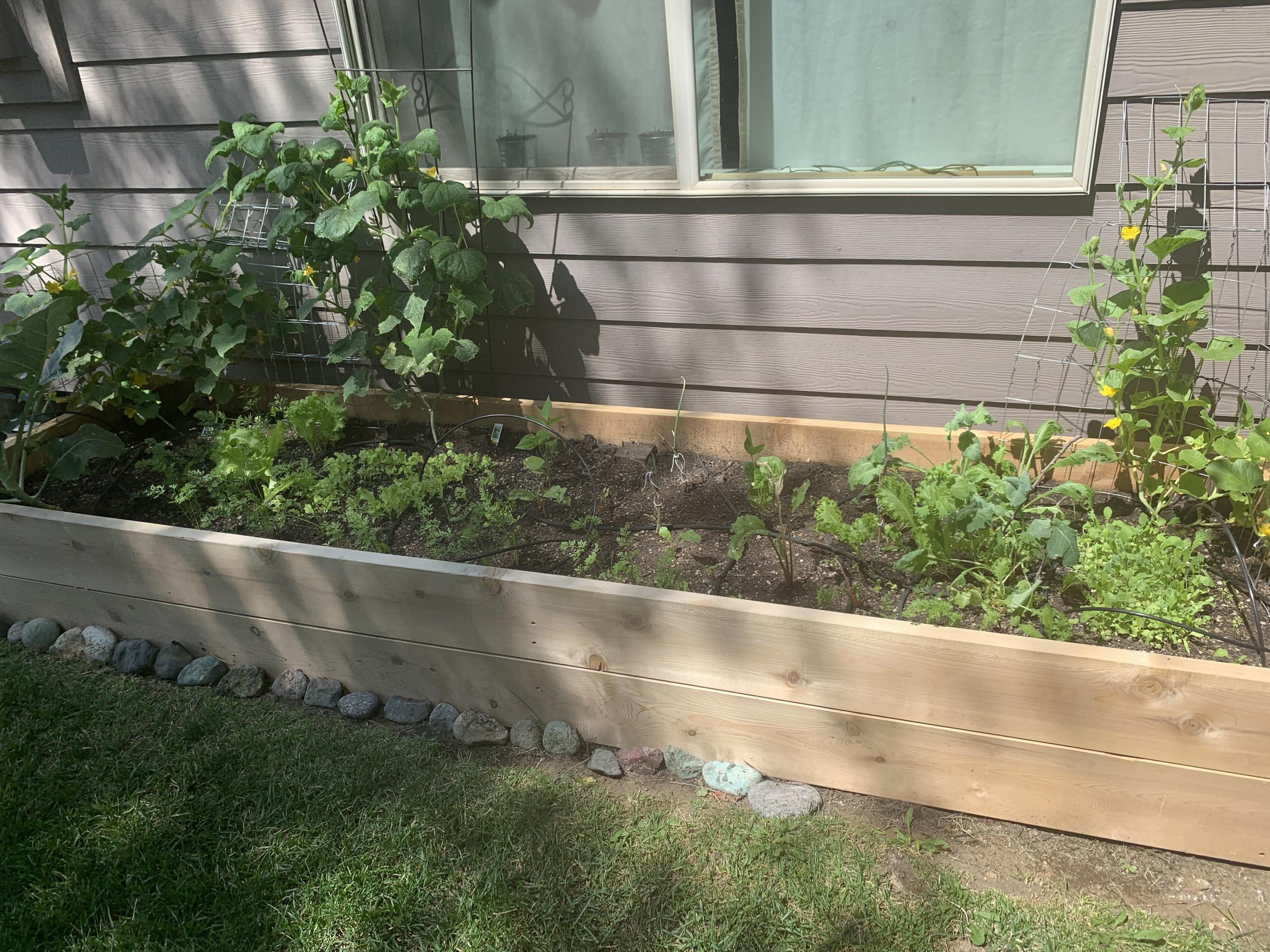 Eagle's Landing - Residential