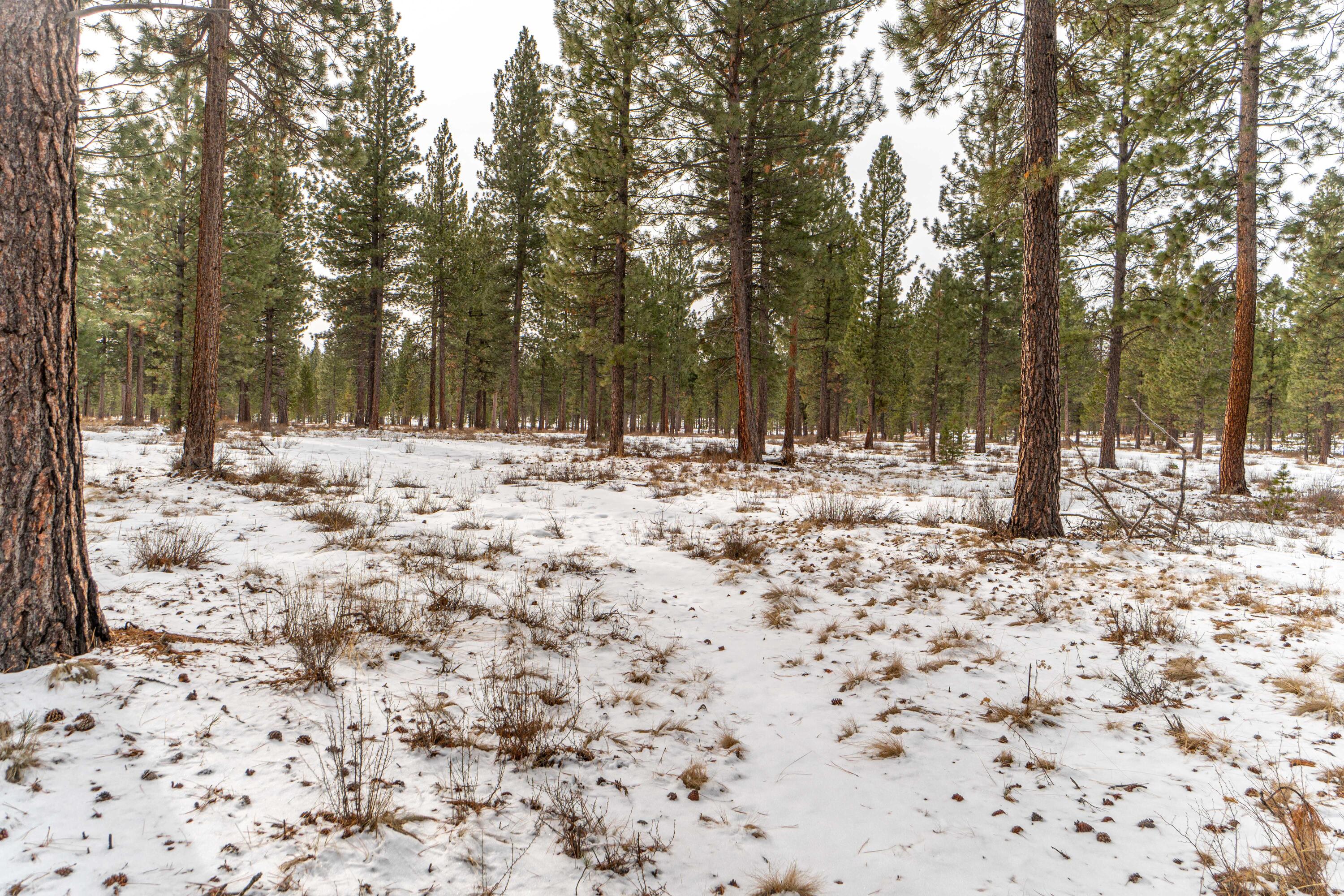 Deschutes River Recreation Homesites - Land