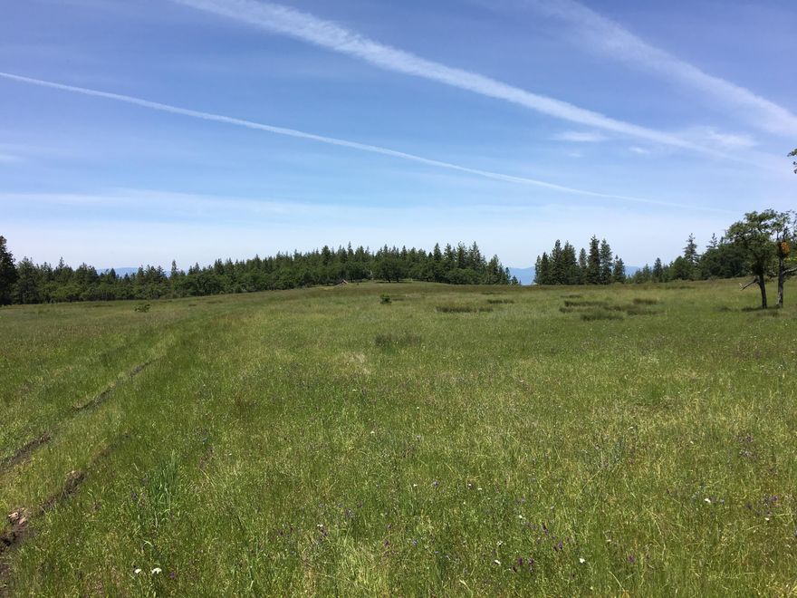Large acreage holding of undeveloped land in the east hills of Medford, Oregon. With a potential of multiple home sites this offering is ideal for development, a multi-family estate, ranching, investment or a long term hold. The property is made up of 19 contiguous parcels and spans approximately 1340 acres. The topography varies from level to moderately sloped and multiple viewpoints can be found throughout the property. The primary vegetation includes conifer and hardwood trees along with open meadows of grass. There are several locations of rock sources on the property for the development of interior roads.
The Rogue Valley is the regional hub for medical, commerce, the arts and offers year-round outdoor recreational opportunities.
Elk, Deer, Bear and other wildlife often frequent the area. The property is within the Rogue Hunting Unit which currently allows for over-the-counter tags for many species along with some land owner tag options.
