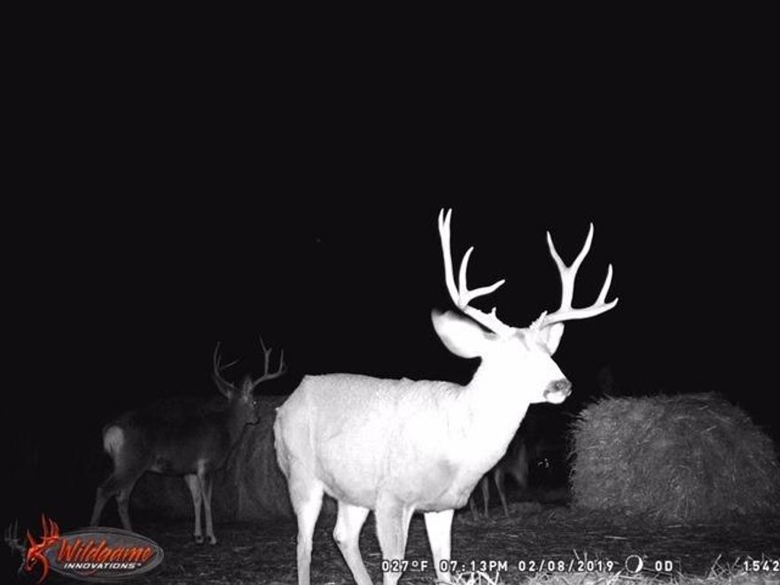 Huge $300,000 Price Reduction! Welcome to the Sphar Home Ranch, 645+- acres of grazing and recreation ground. 2+- miles of Bridge Creek with rainbow trout. Spectacular views, rimrock cliffs, giant aspens, irrigated timothy hay fields for winter feed and the balance range land in Idaho Fescue and Crested Wheat. ALM's for ample grazing for the existing herd. Hunting for Mule Deer, Elk, Bear, Cougar & Quail make this a hunters dream property. Two modest homes, Sheds and Shop. Can be purchased with the Parker Ranch MLS 2994967 that provides summer grazing and exceptional hunting ground.