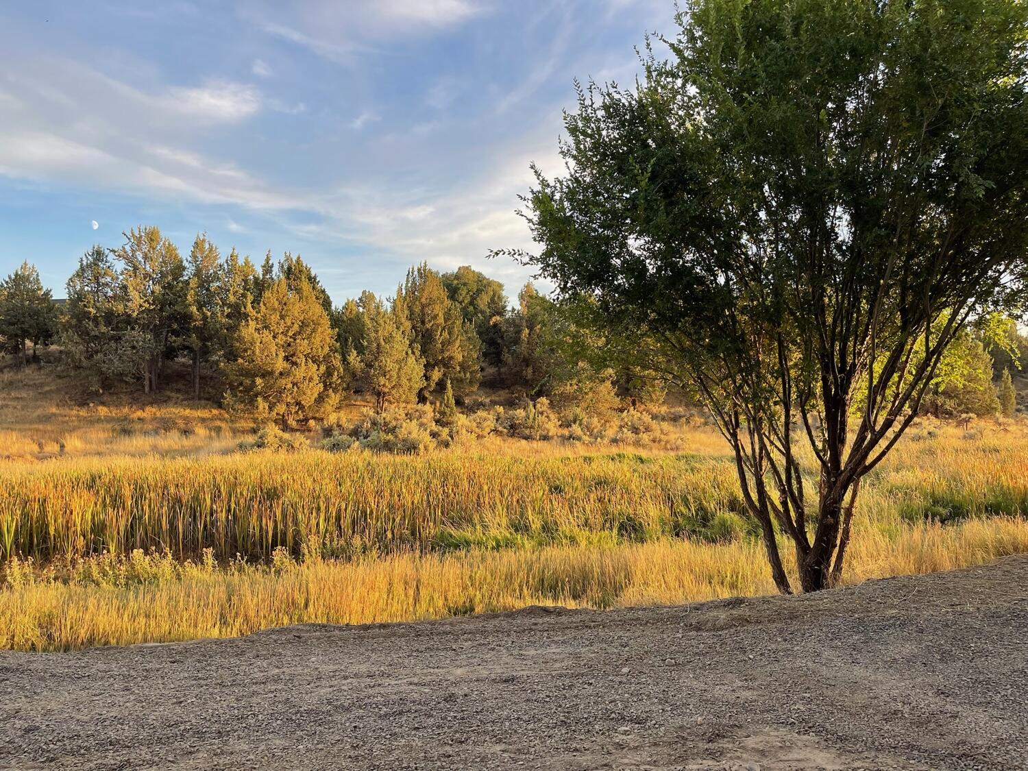 Stoneridge Terrace - Residential