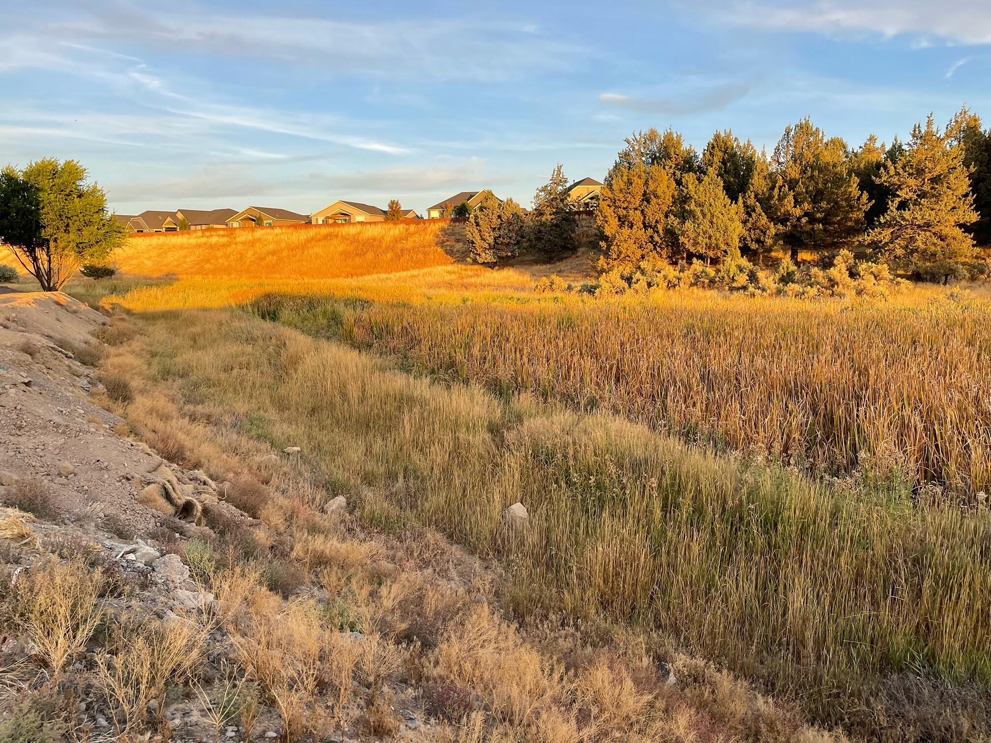 Stoneridge Terrace - Residential