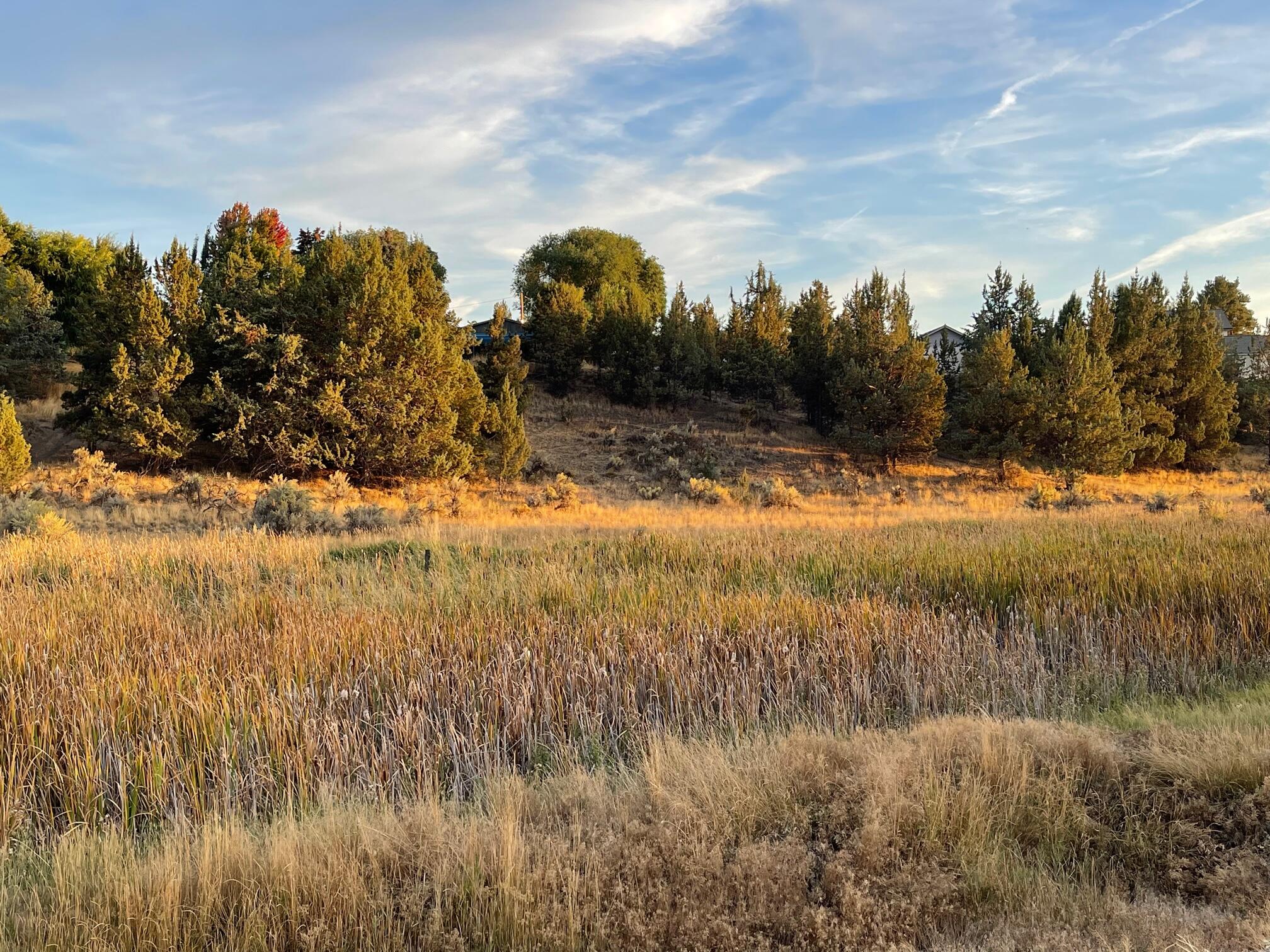 Stoneridge Terrace - Residential
