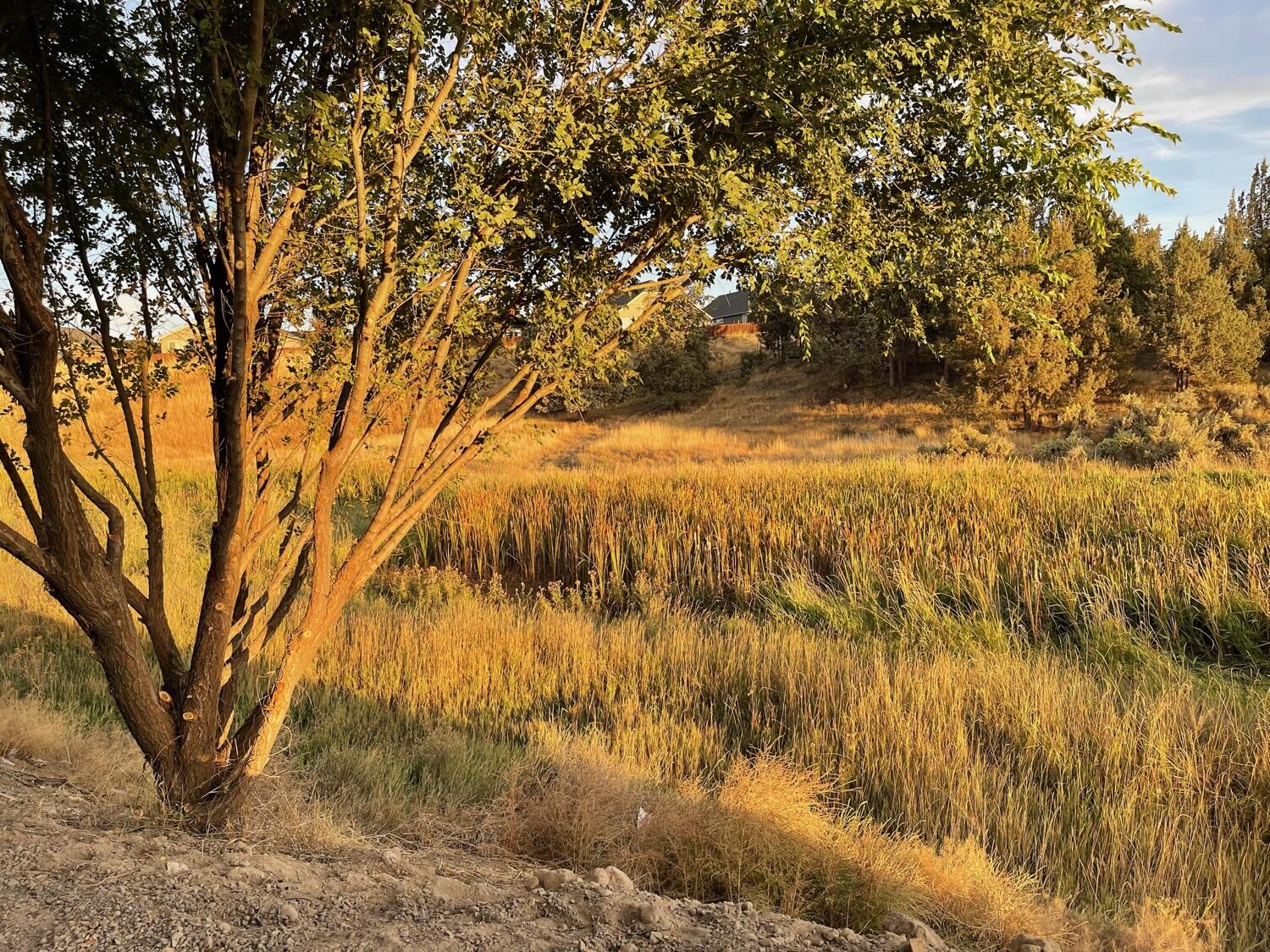 Stoneridge Terrace - Residential