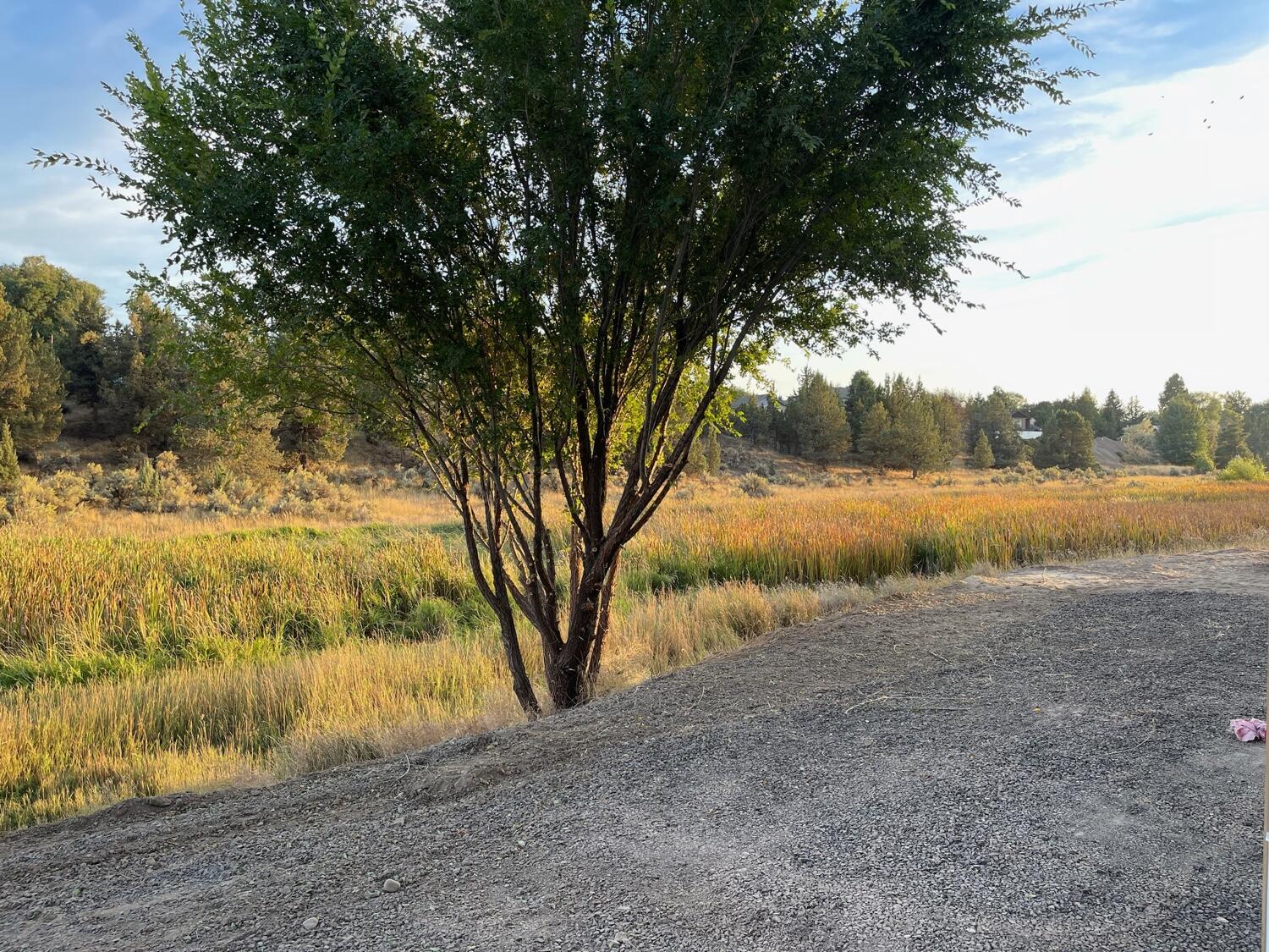 Stoneridge Terrace - Residential