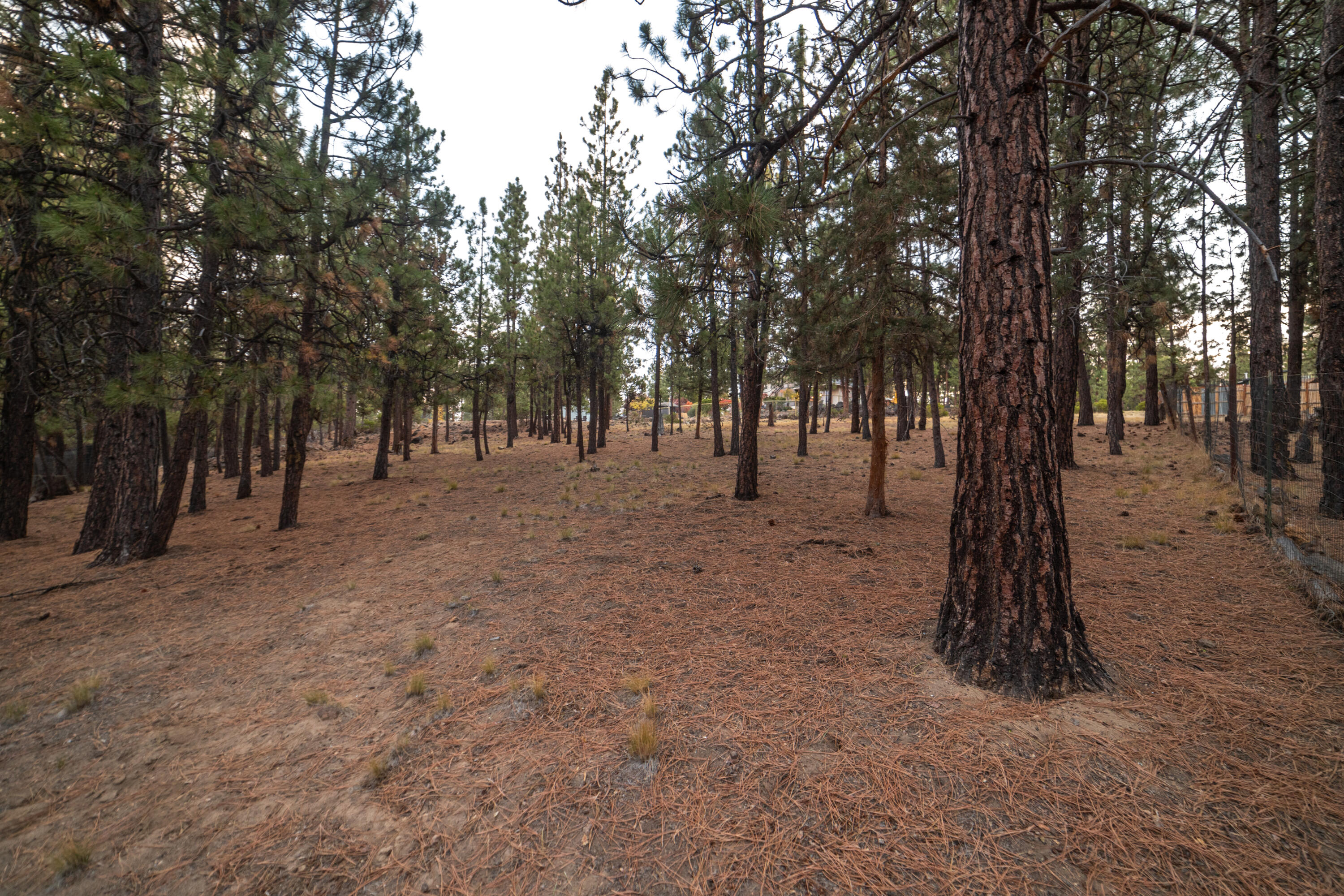 Deschutes RiverWoods - Residential