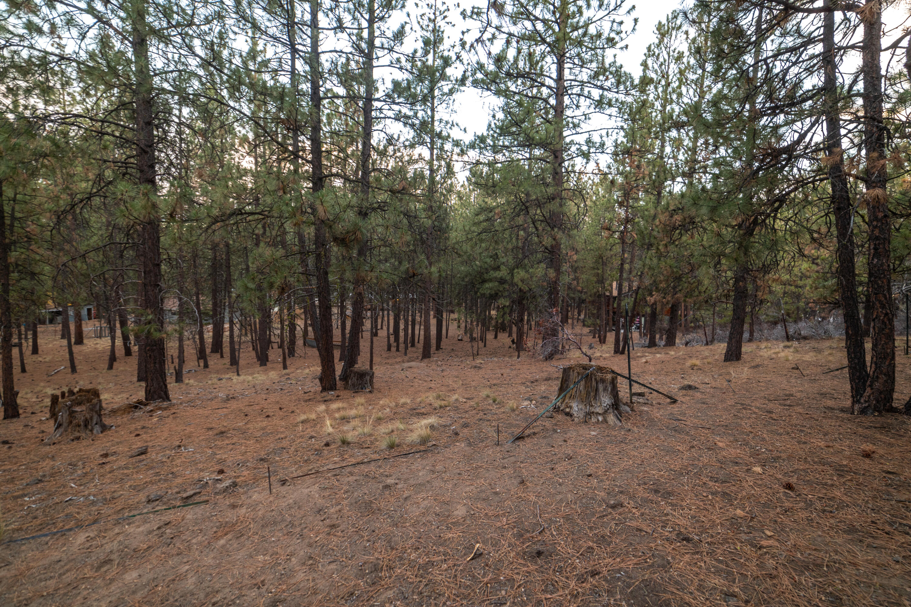 Deschutes RiverWoods - Residential