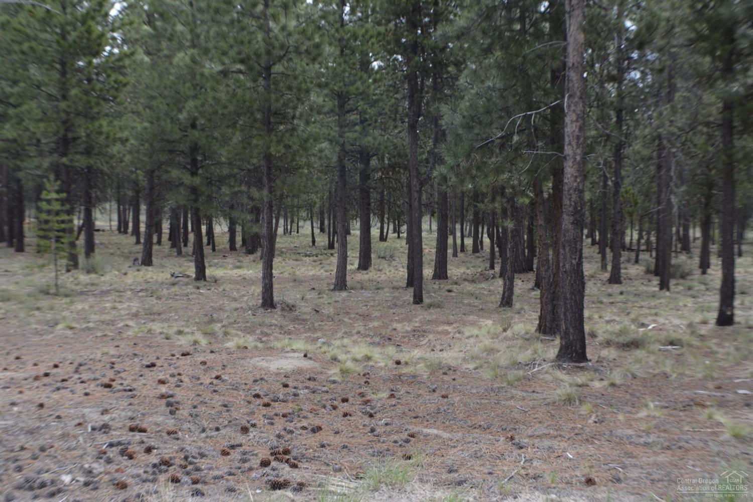 Caldera Springs - Land