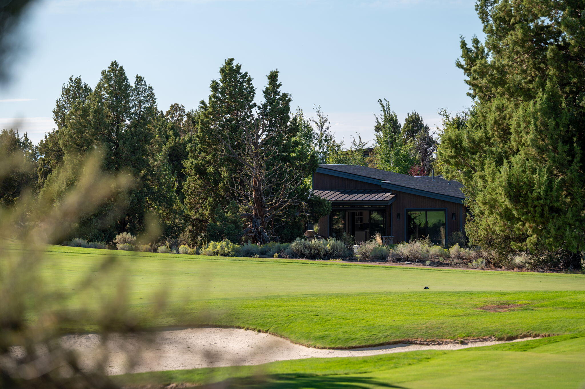 Pronghorn - Residential