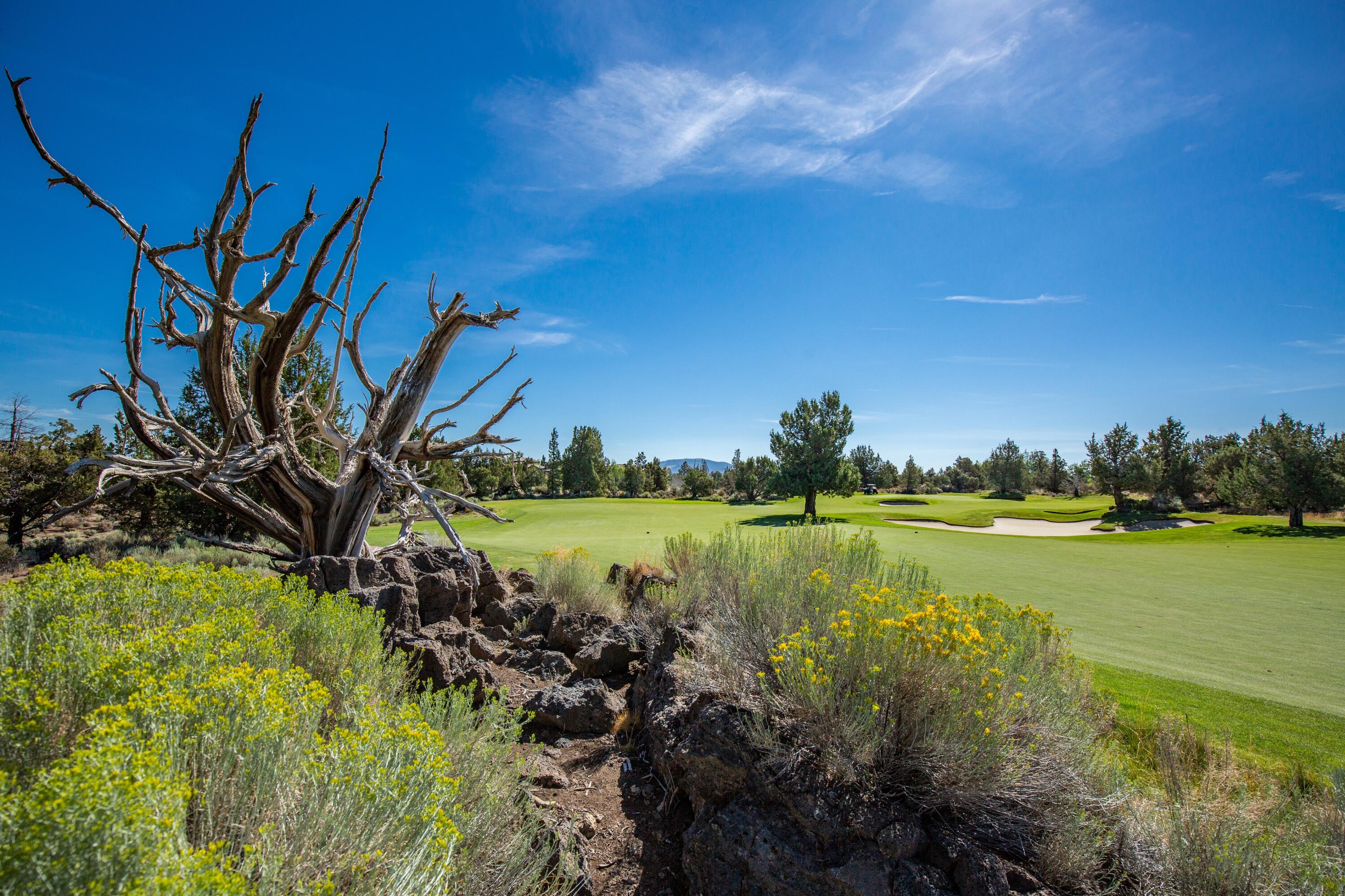 Pronghorn - Residential