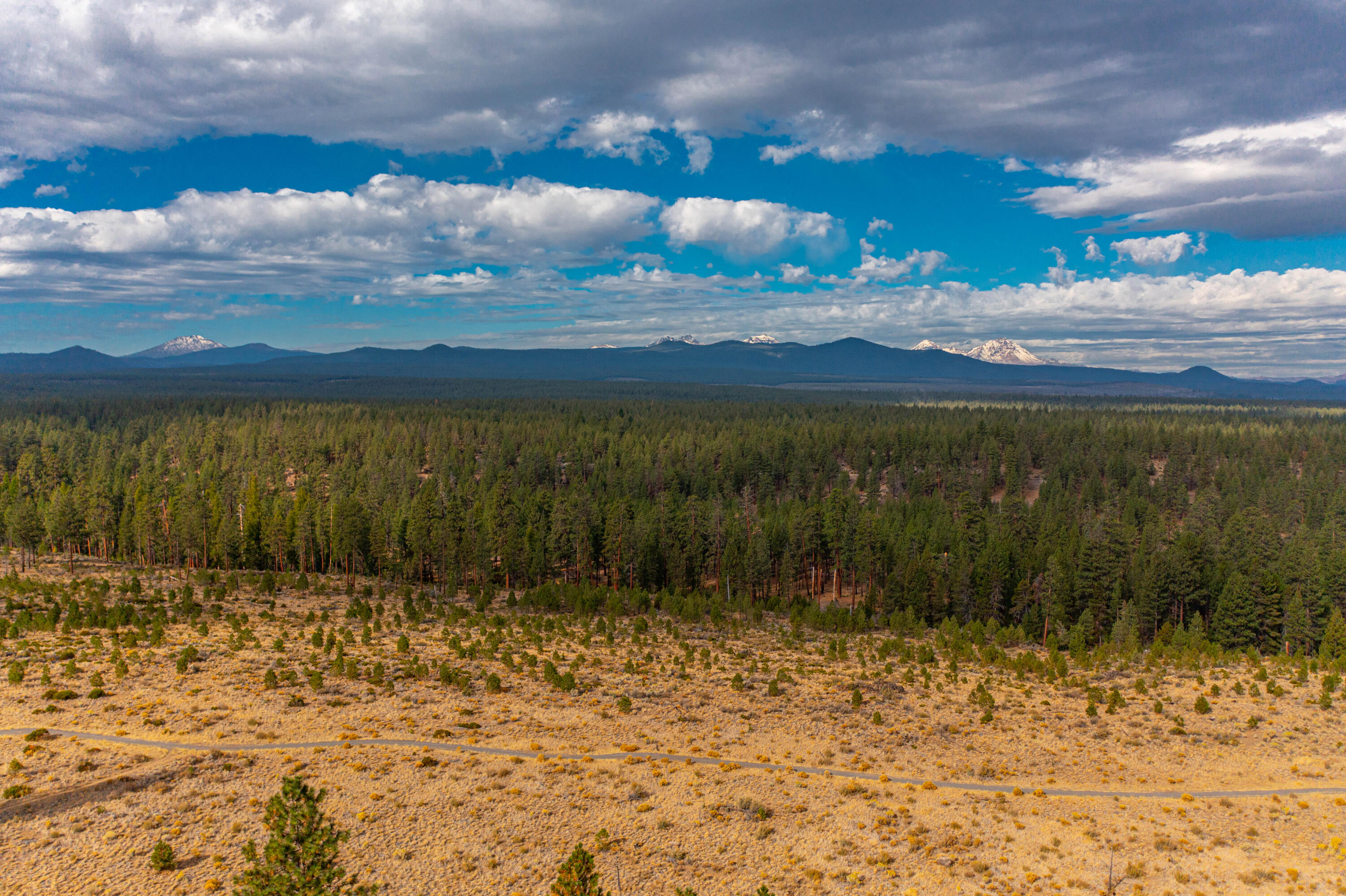Shevlin Commons - Residential