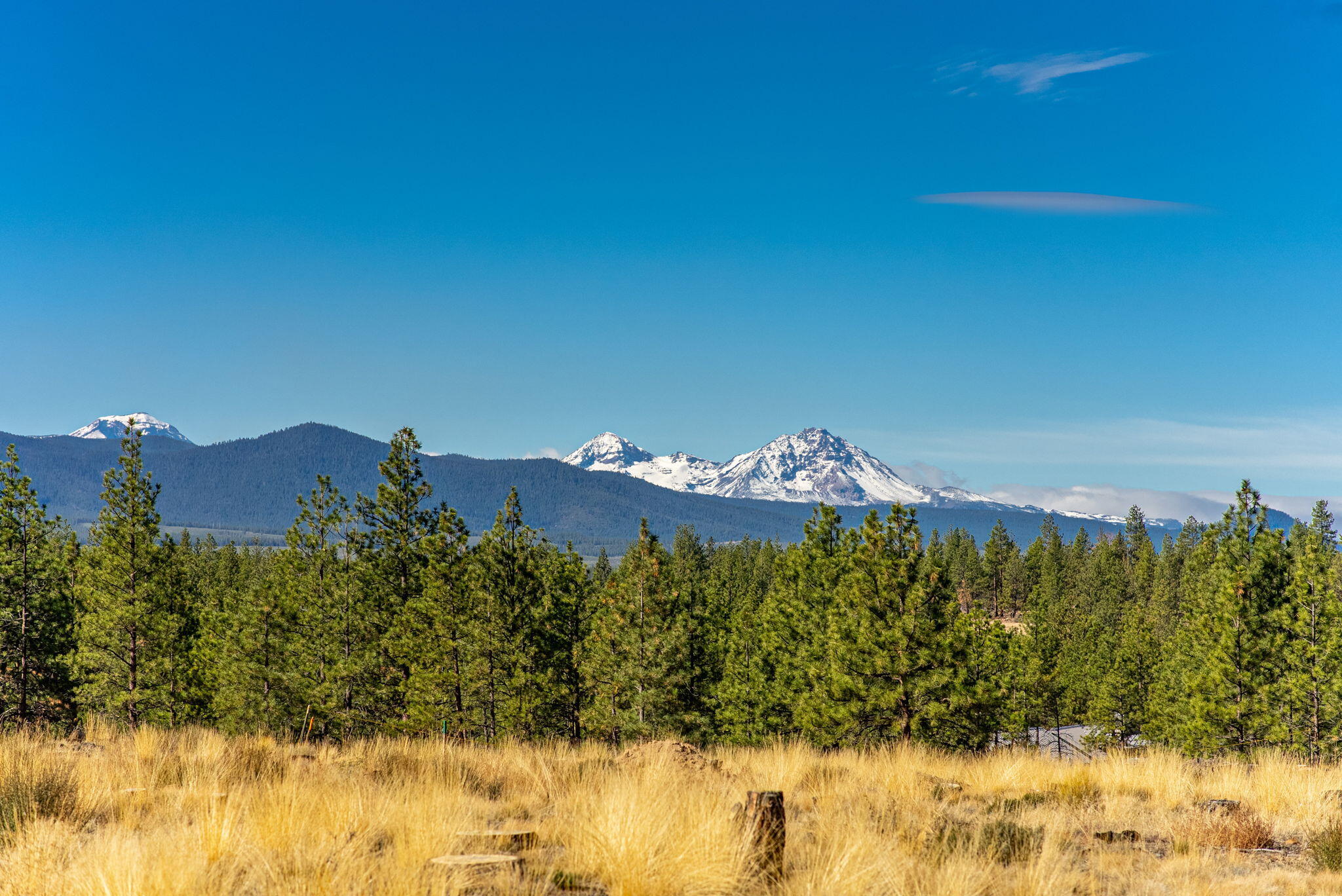 Concannon Drive Lot 44