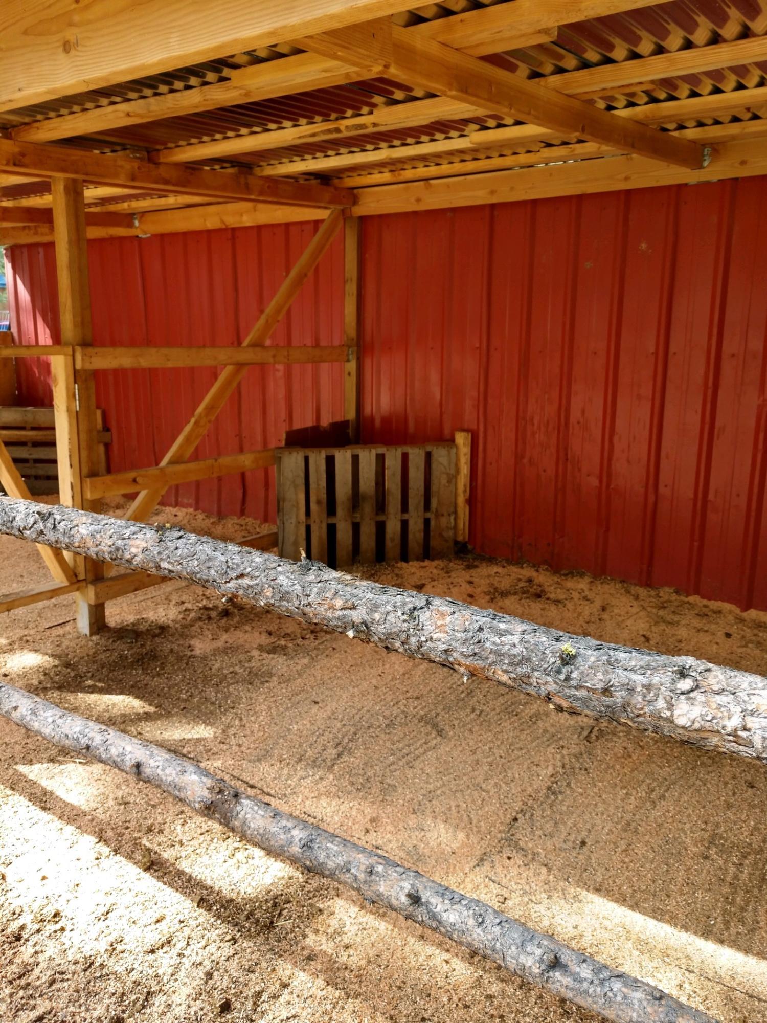 Ponderosa Pines - Residential