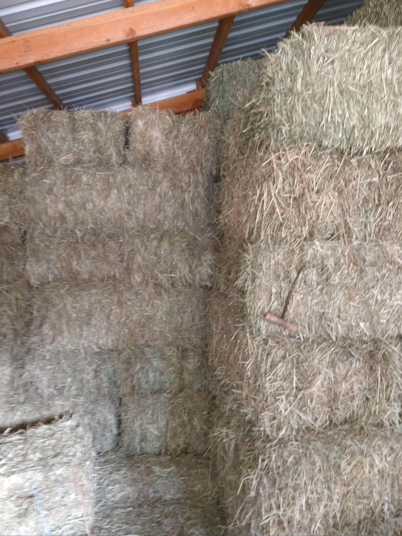 Ponderosa Pines - Residential