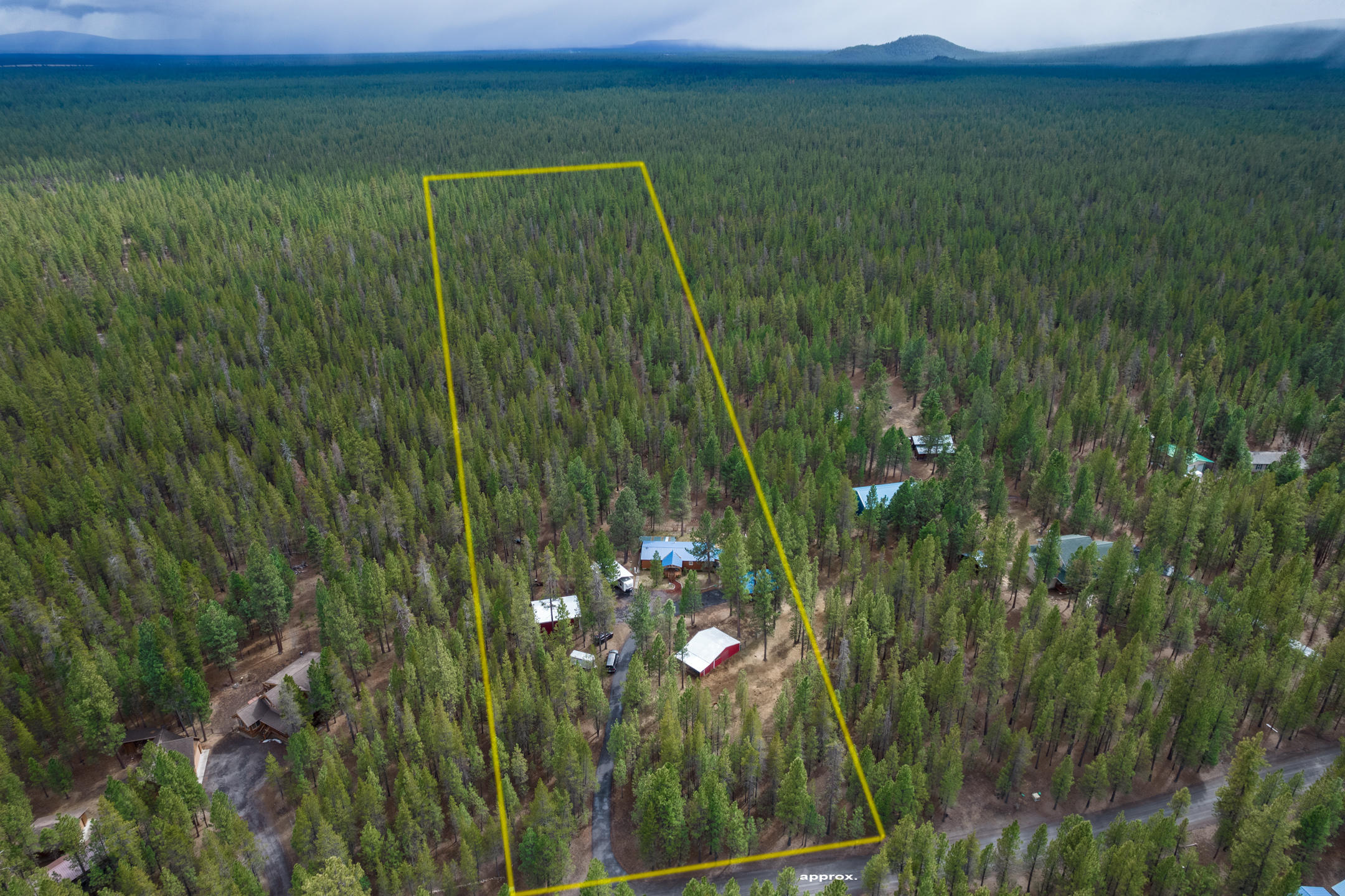 Ponderosa Pines - Residential