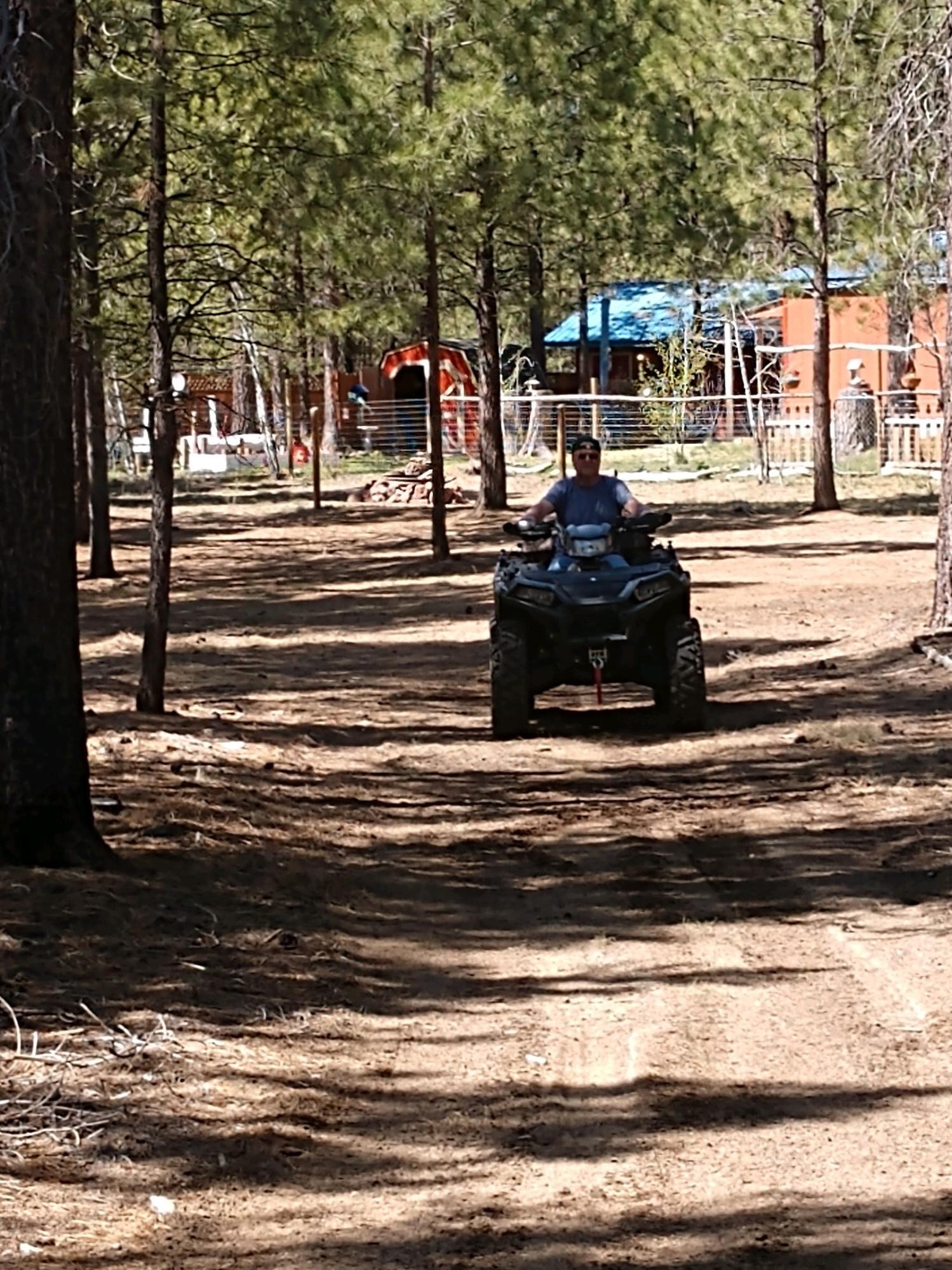 Ponderosa Pines - Residential