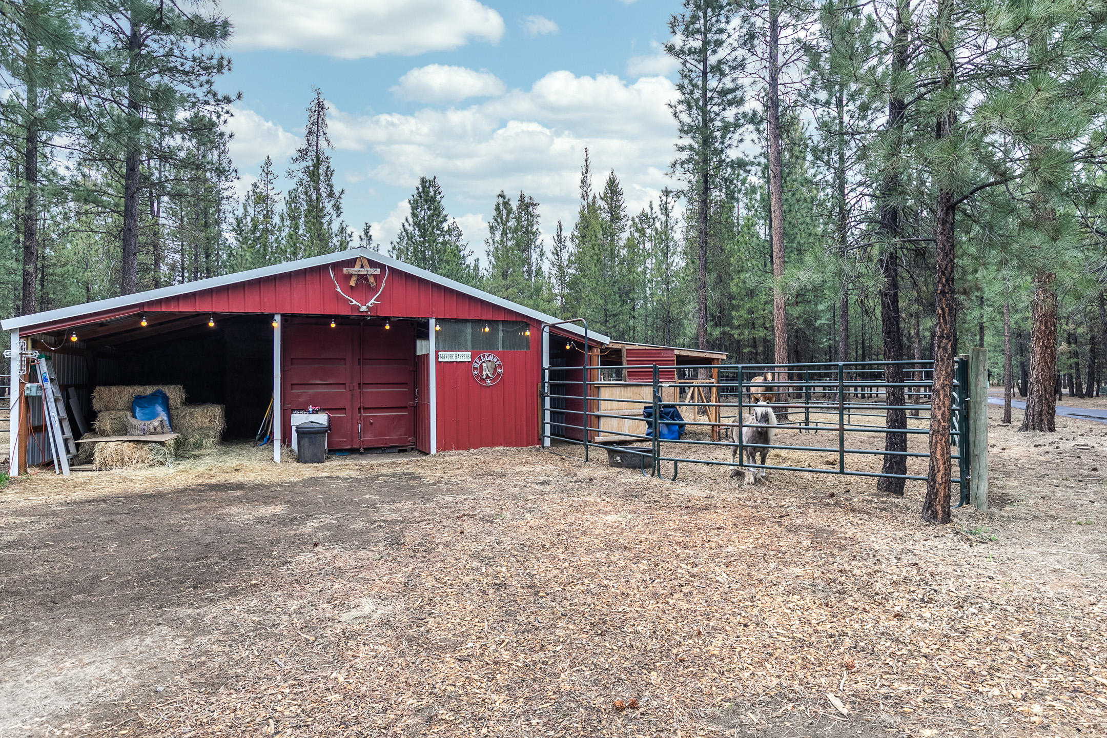 Ponderosa Pines - Residential