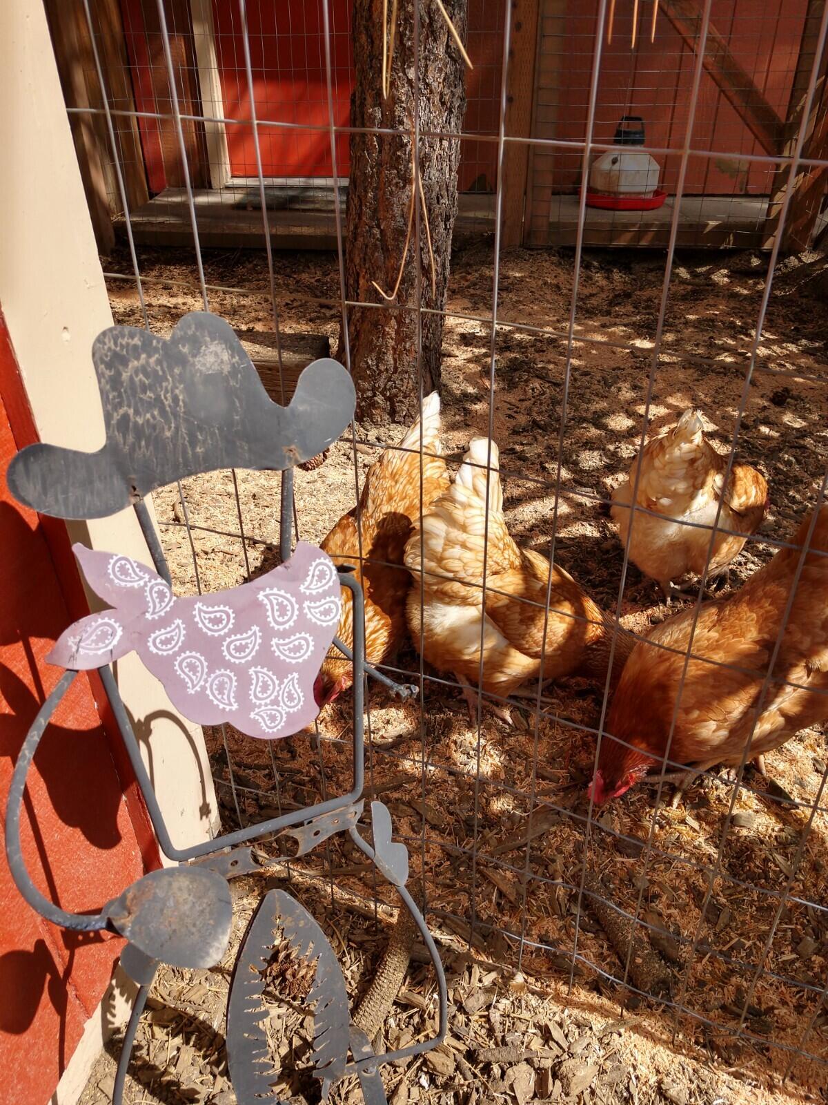 Ponderosa Pines - Residential