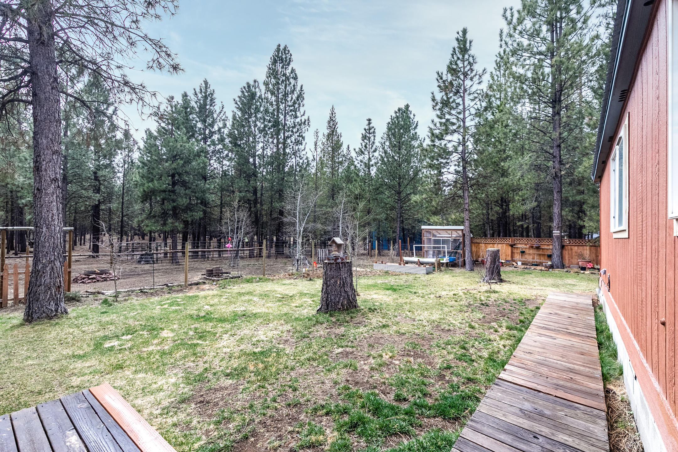 Ponderosa Pines - Residential