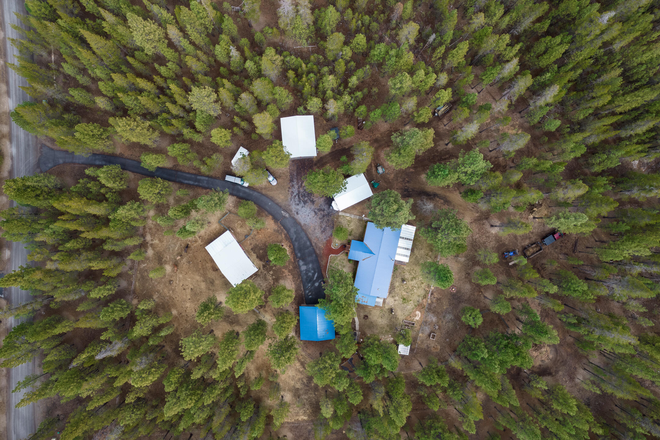 Ponderosa Pines - Residential