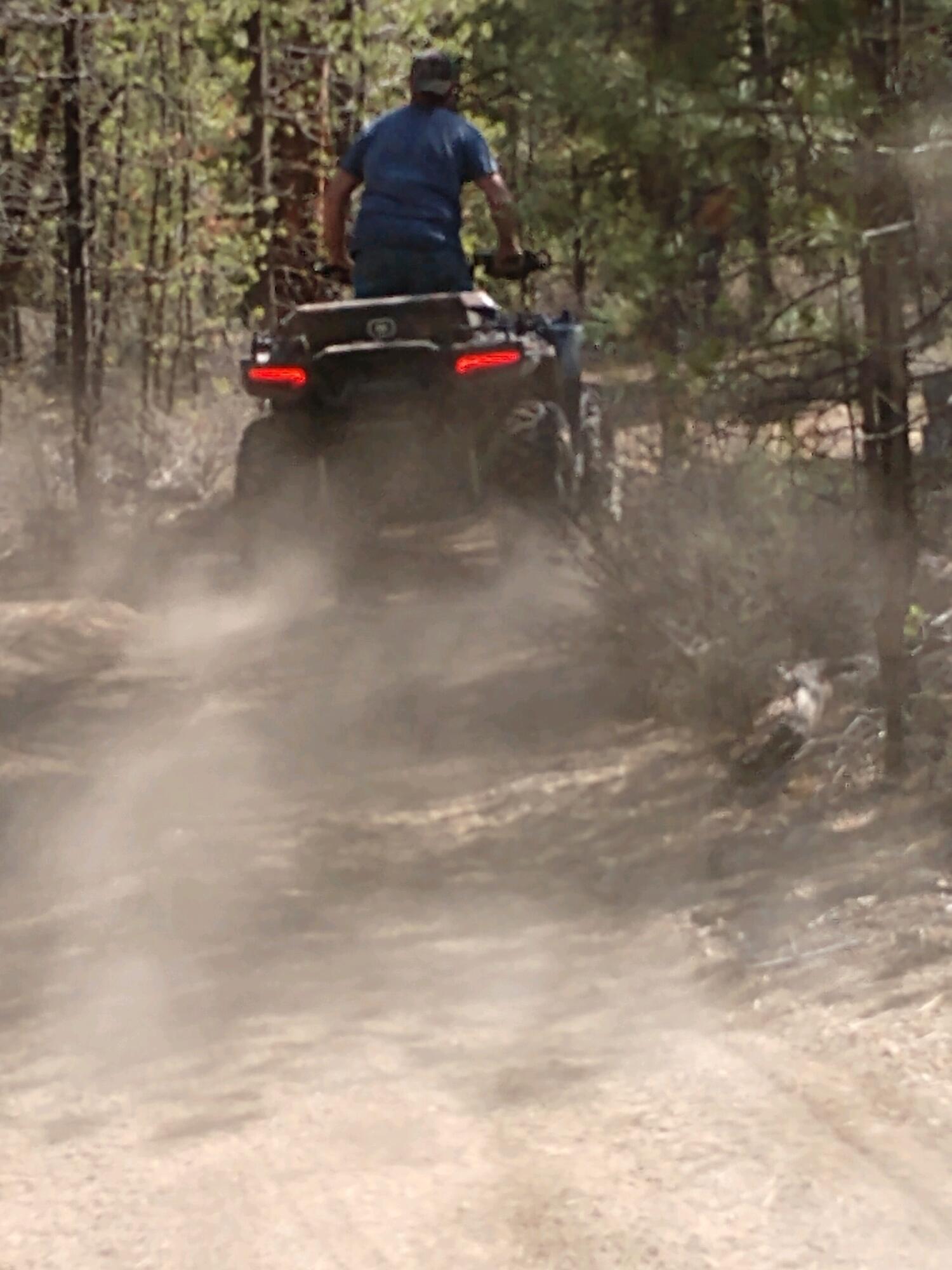 Ponderosa Pines - Residential