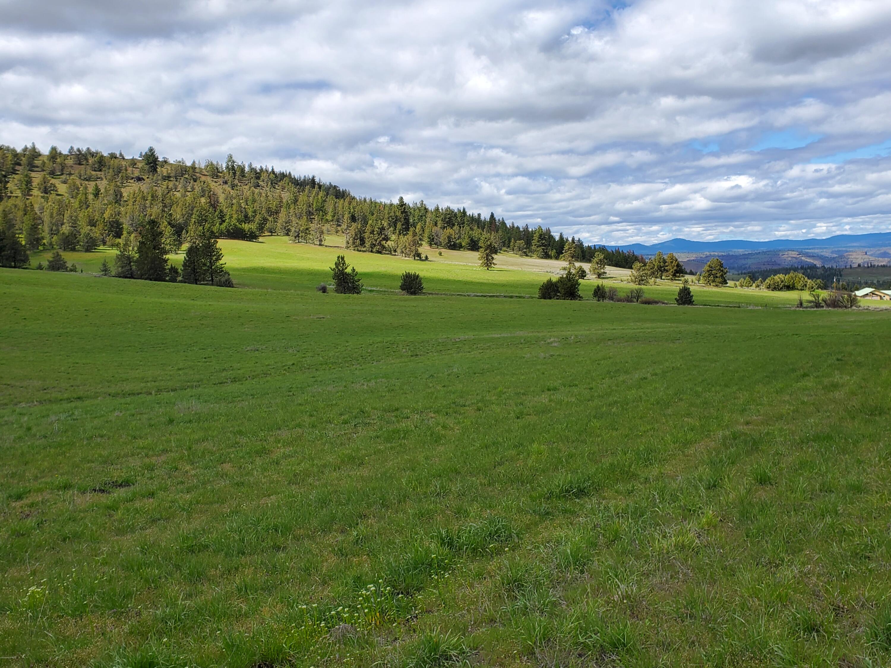 Mountain View Subdivision - Farm