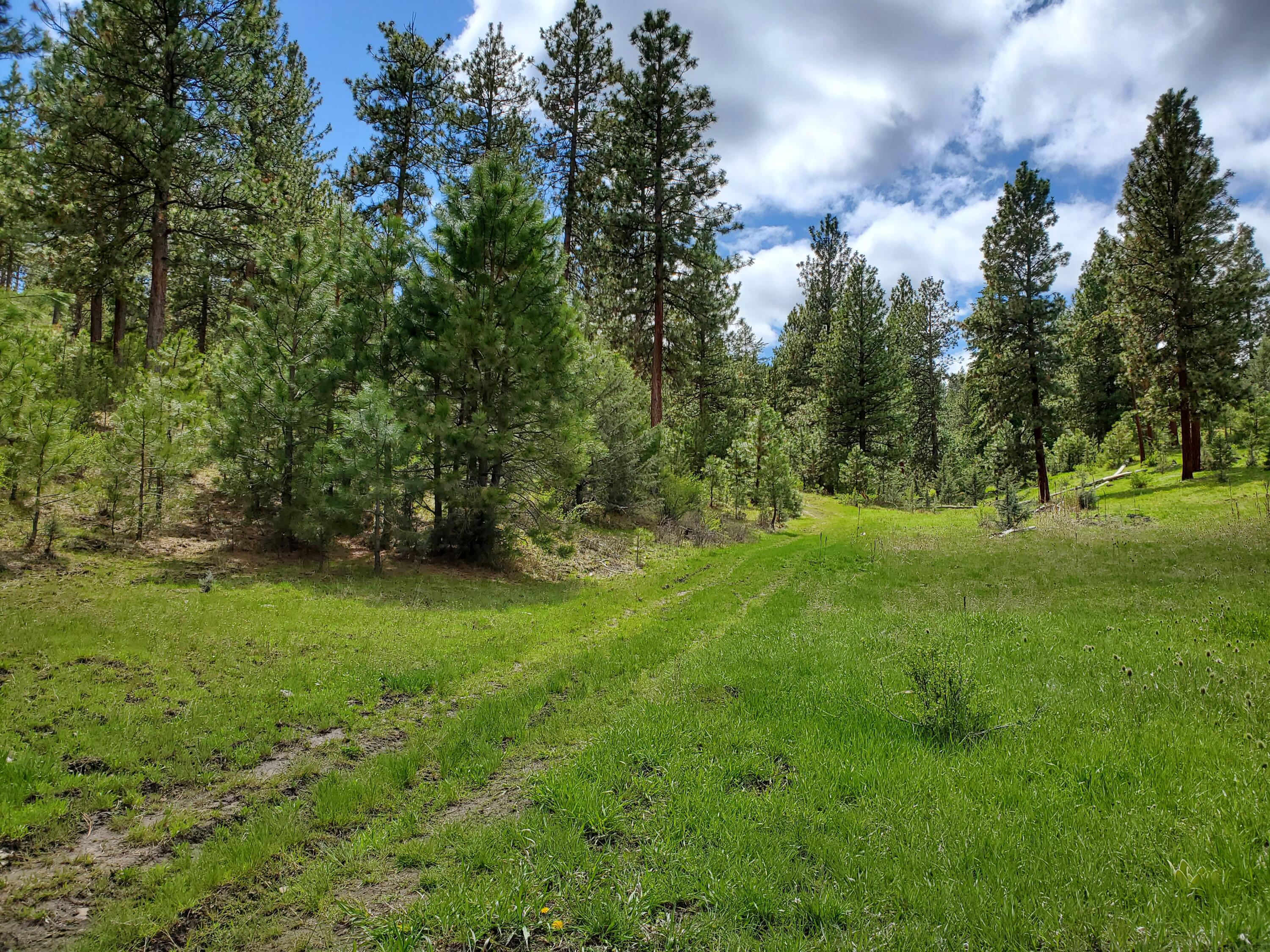 Mountain View Subdivision - Farm