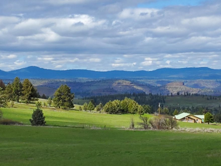Open floor plan between kitchen area and living room.  Large kitchen with gas stove, oversized island,  Tandem Luxury Vinyl flooring and custom Rustic Hickory cabinets.  Countertops in Kitchen and Master Bath are all LivingStone  solid surface.  ''On Demand'' Rinai RU98 hot water heater ensures nobody runs out of hot water. Mudroom off of the oversized garage and patio offers room for extra freezers and refrigerators.  This room also has an extra gas stove, sink for canning, custom table for meat processing and half bath.  Large Master with walk in tile shower, two sinks, walk in closet and propane lit stove.    

2nd Home - 1764 sq. ft.
Many Springs, tillable acreage.